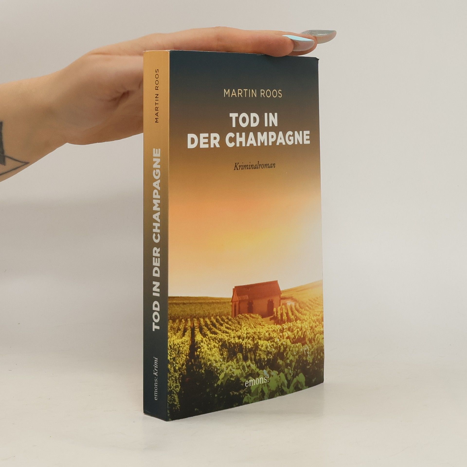 Martin Roos Tod in der Champagne