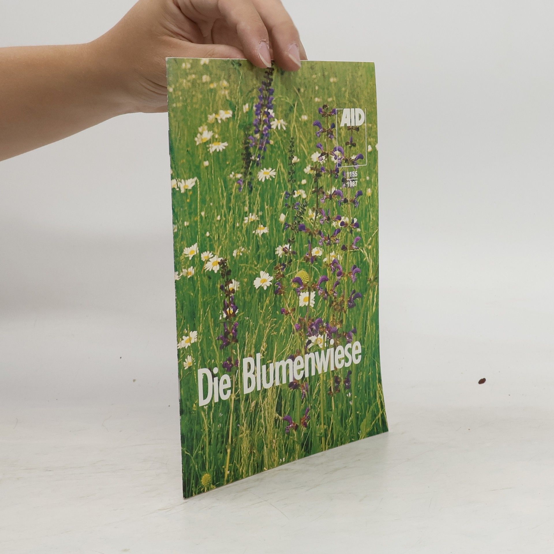 Collectif d'auteurs Die Blumenwiese