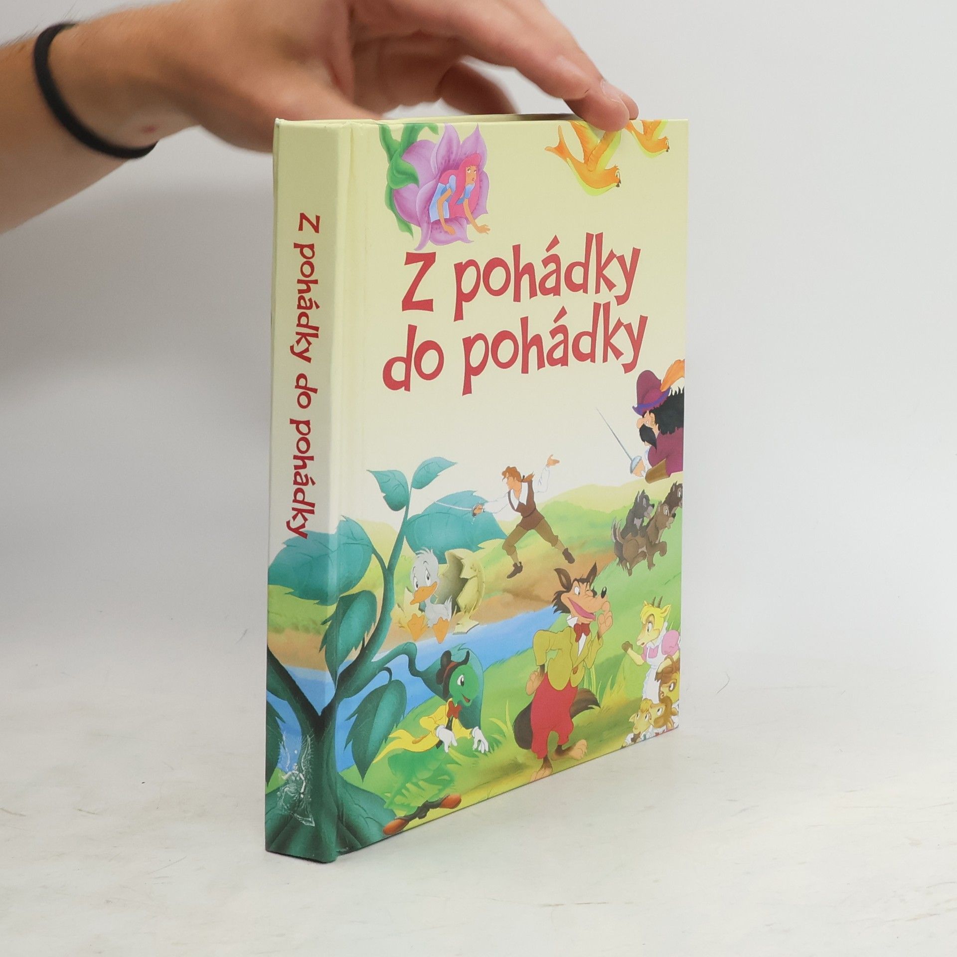 Collectif d'auteurs Z pohádky do pohádky