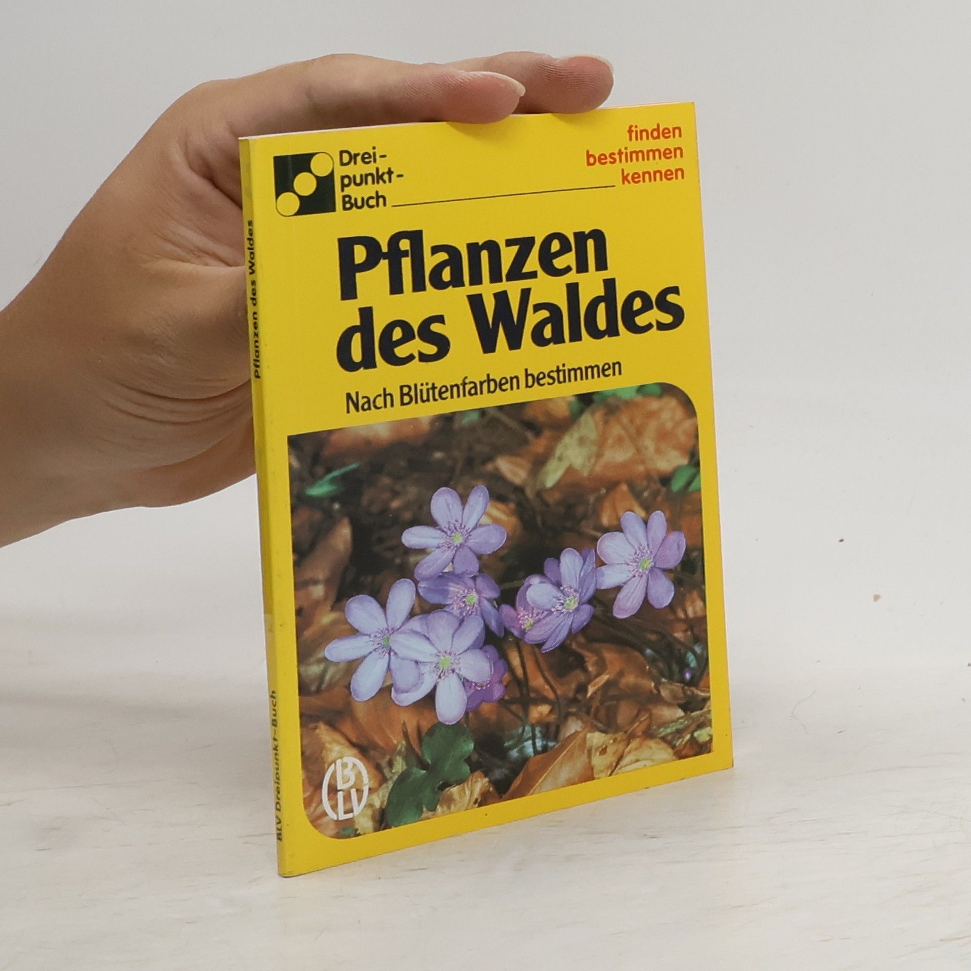 Autorenkollektiv Pflanzen des Waldes
