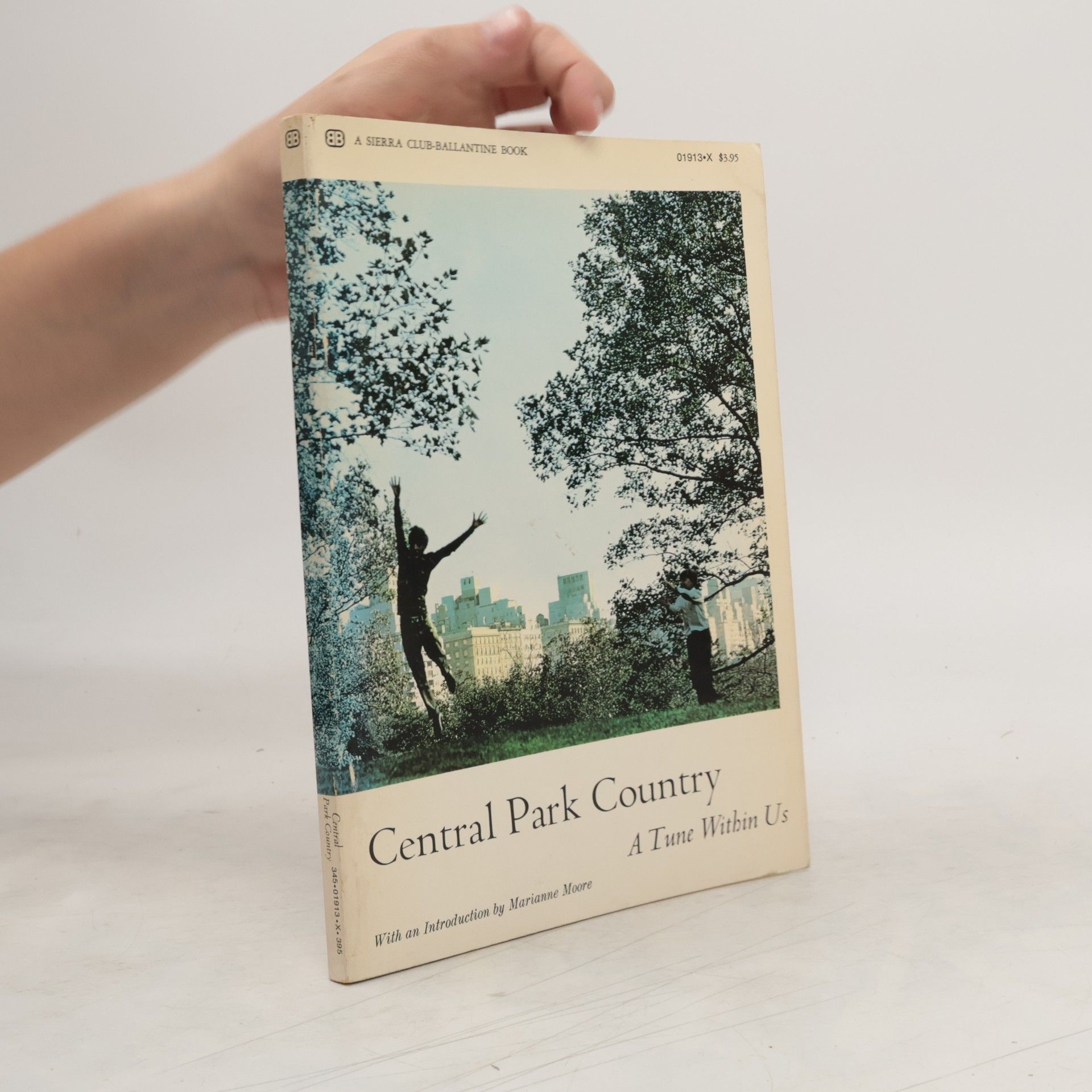 Nancy Johnston Central Park Country