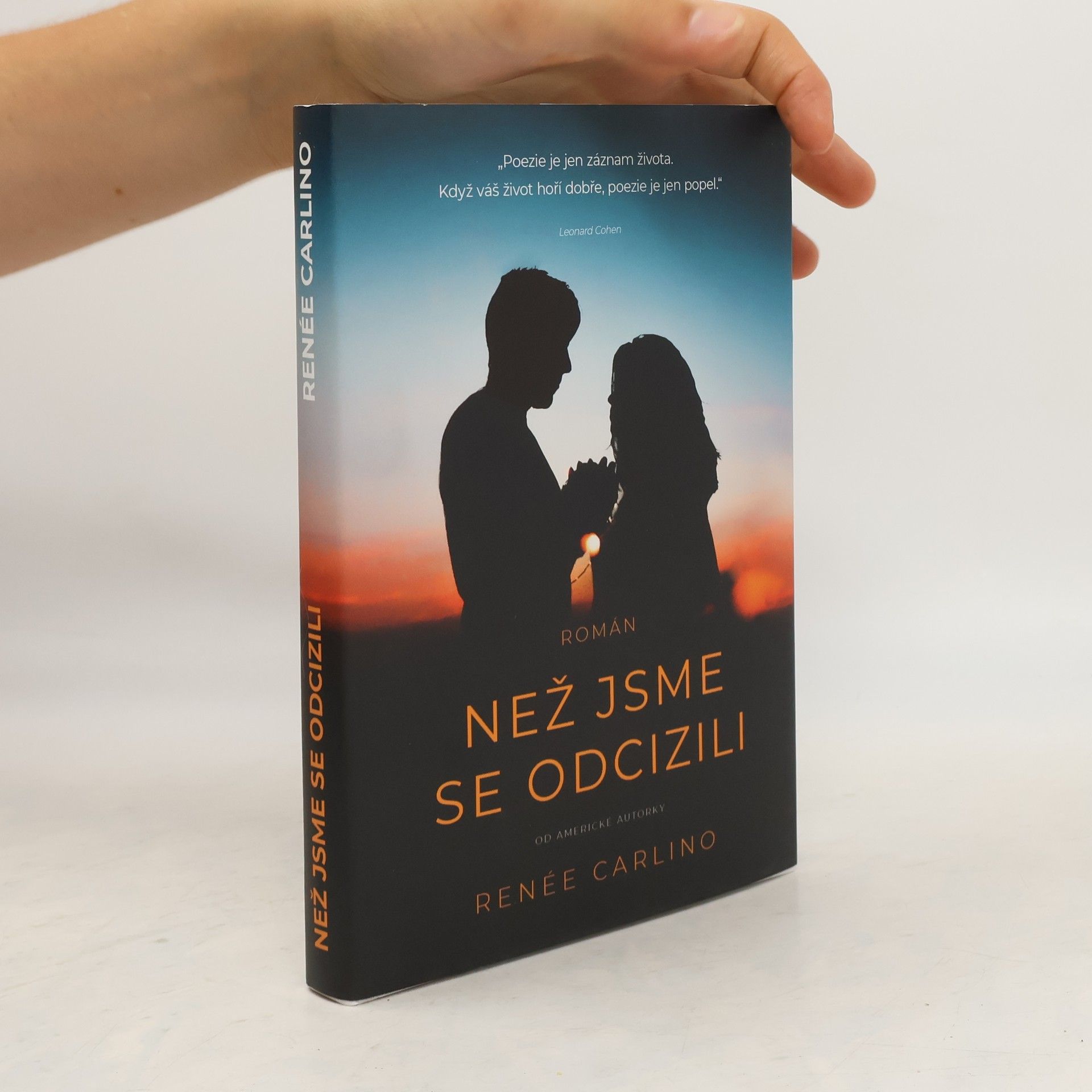 Renée Carlino Než jsme se odcizili