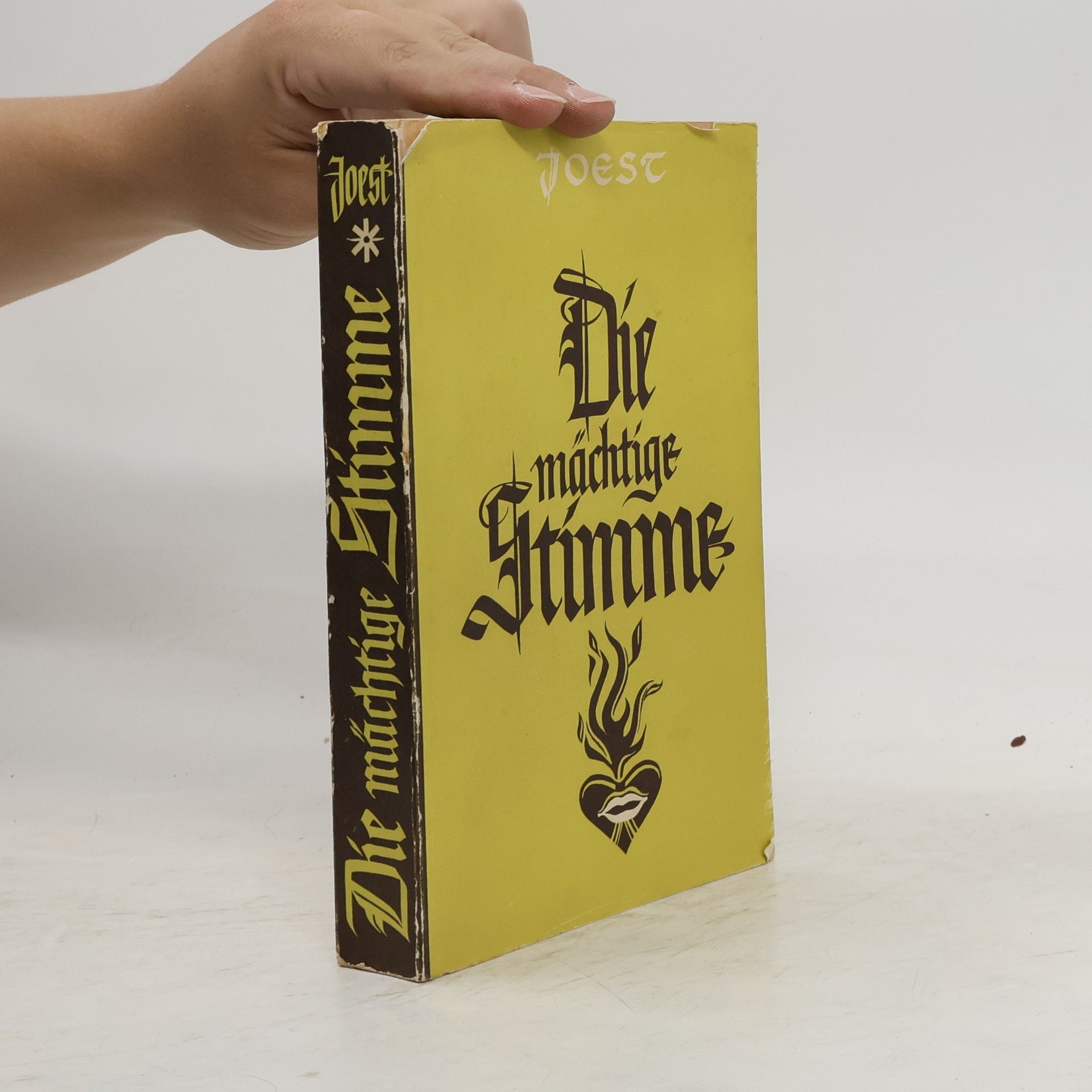 Paul Joest Die mächtige Stimme