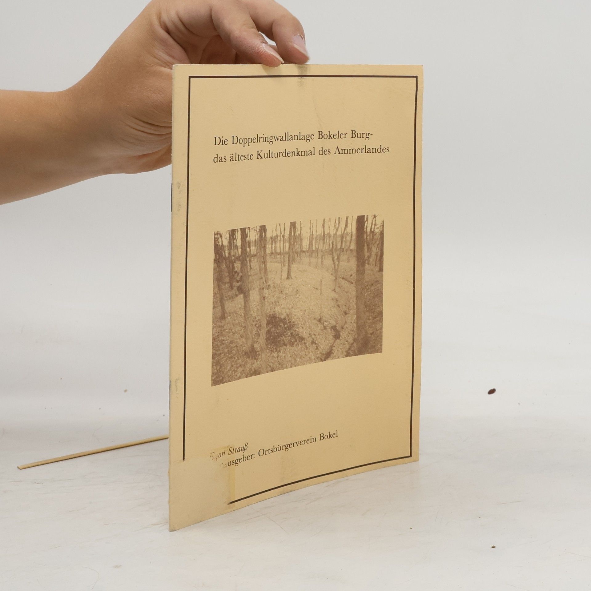 Egon Strauß Die Doppelringwallanlage Bokeler Burg-das älteste Kulturdenkmal des Ammerlandes