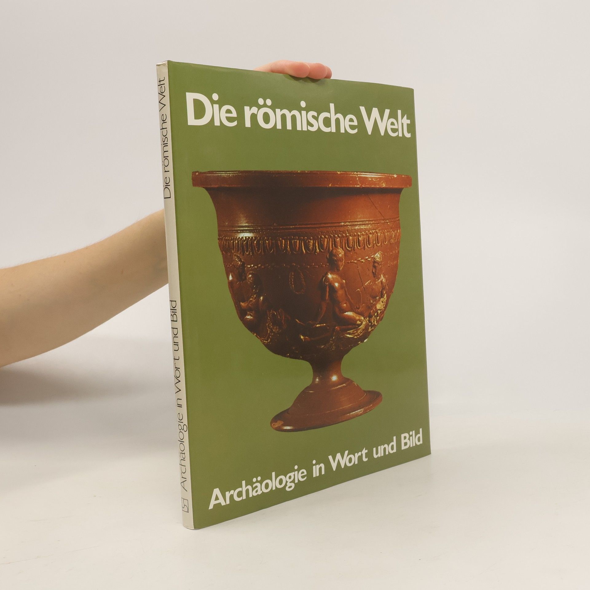 Michael Vickers Die römische Welt