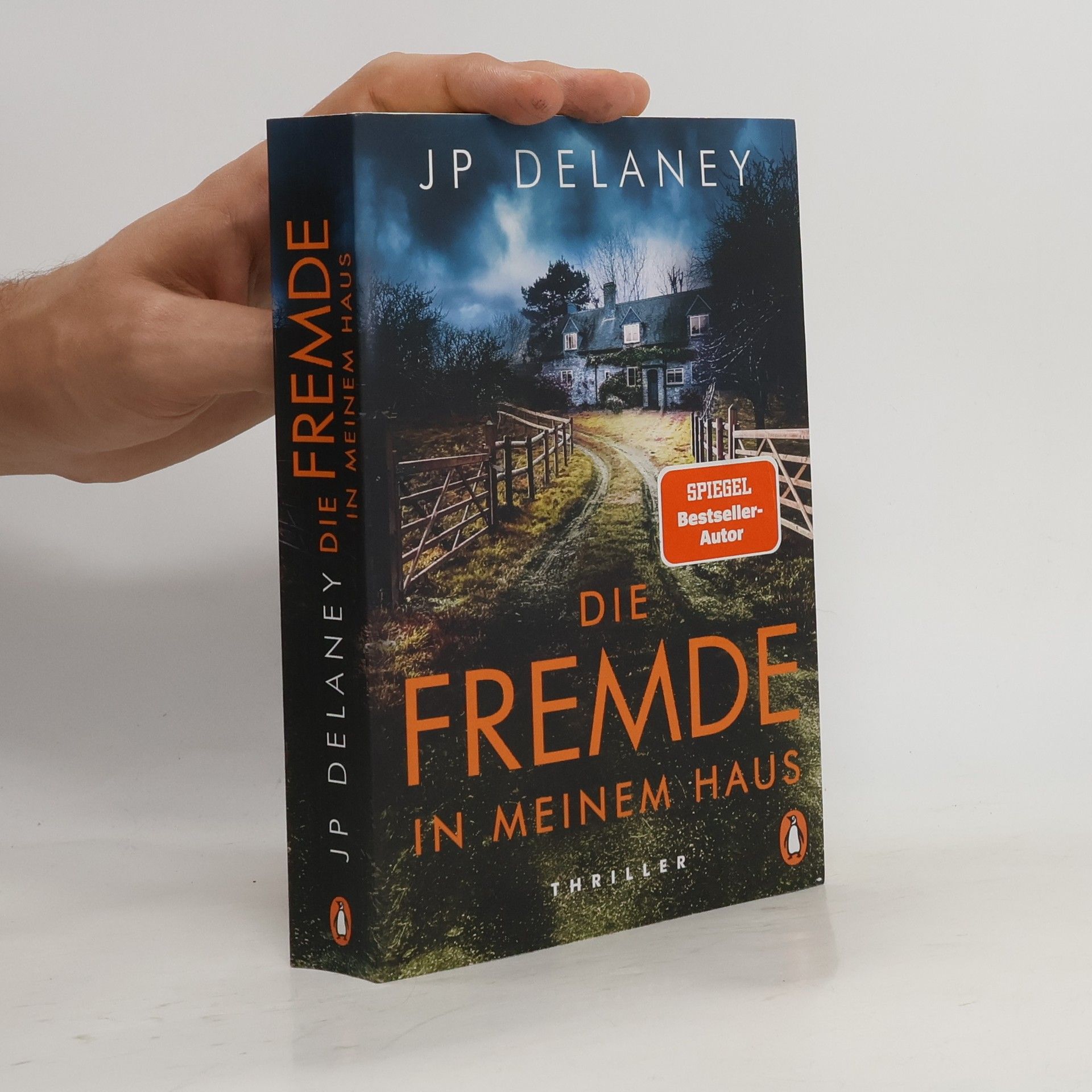 J. P. Delaney Die Fremde in meinem Haus