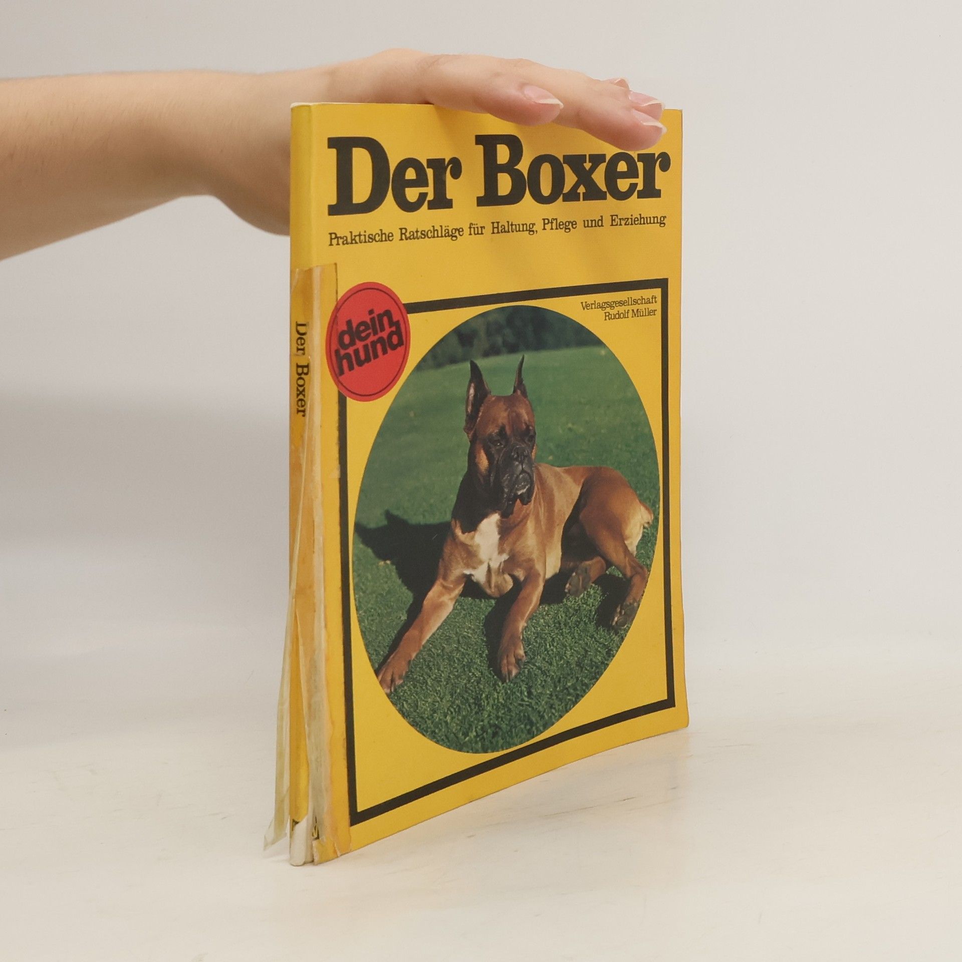 Horst Volkmann Der Boxer