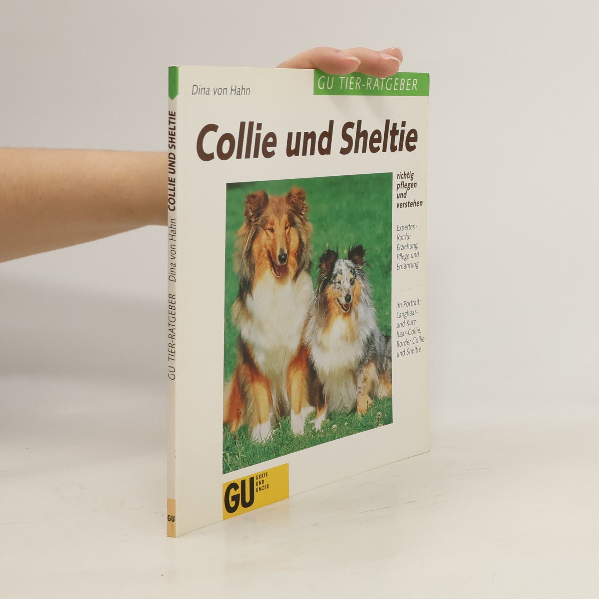 Dina von Hahn Collie und Sheltie