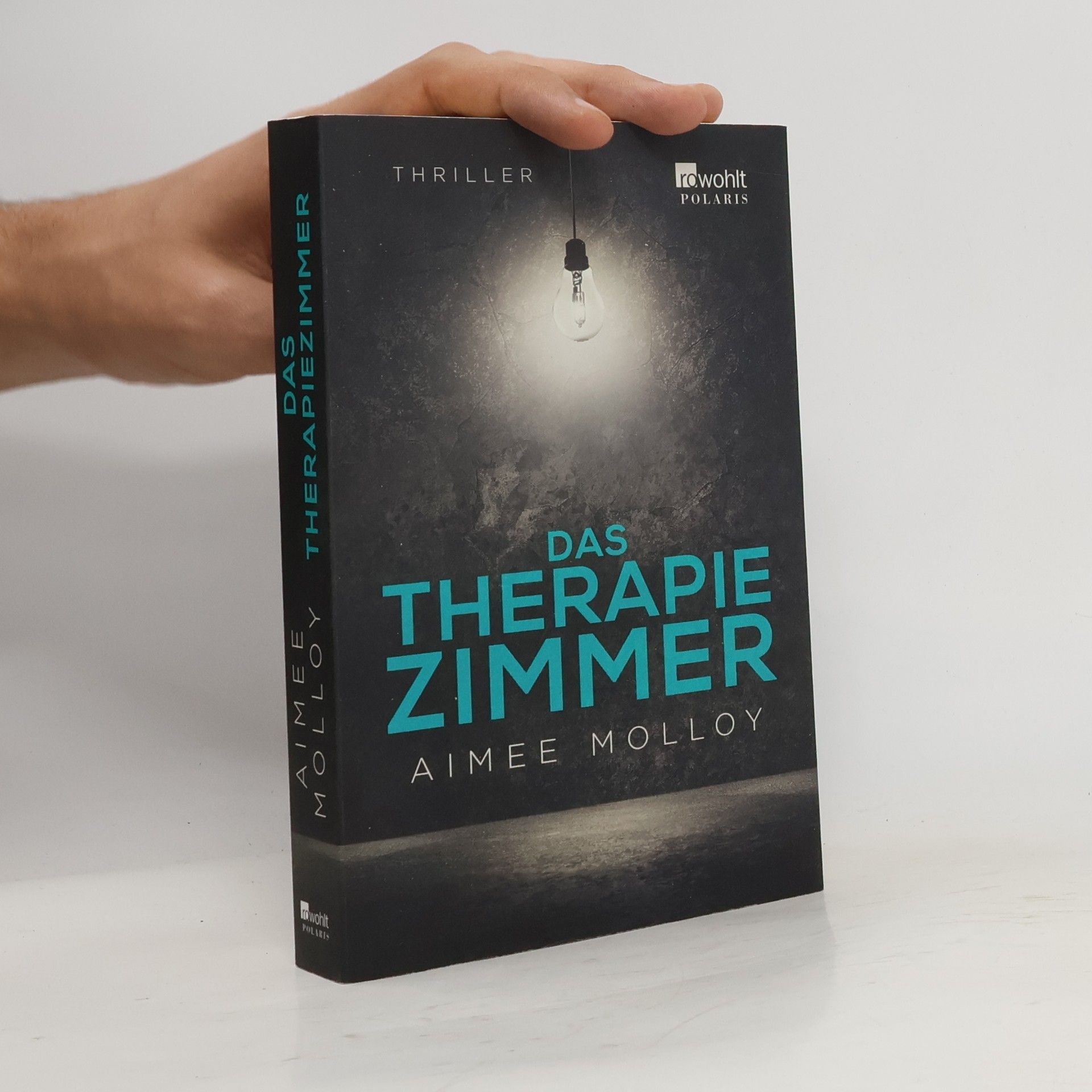 Aimee Molloy Das Therapiezimmer