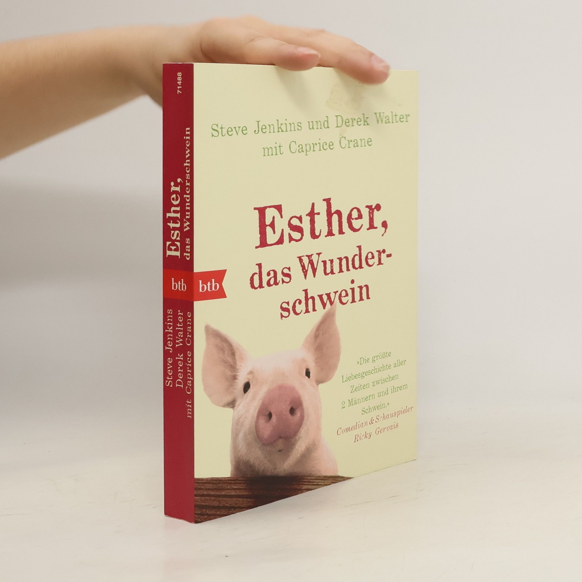 Steve Jenkins Esther, das Wunderschwein