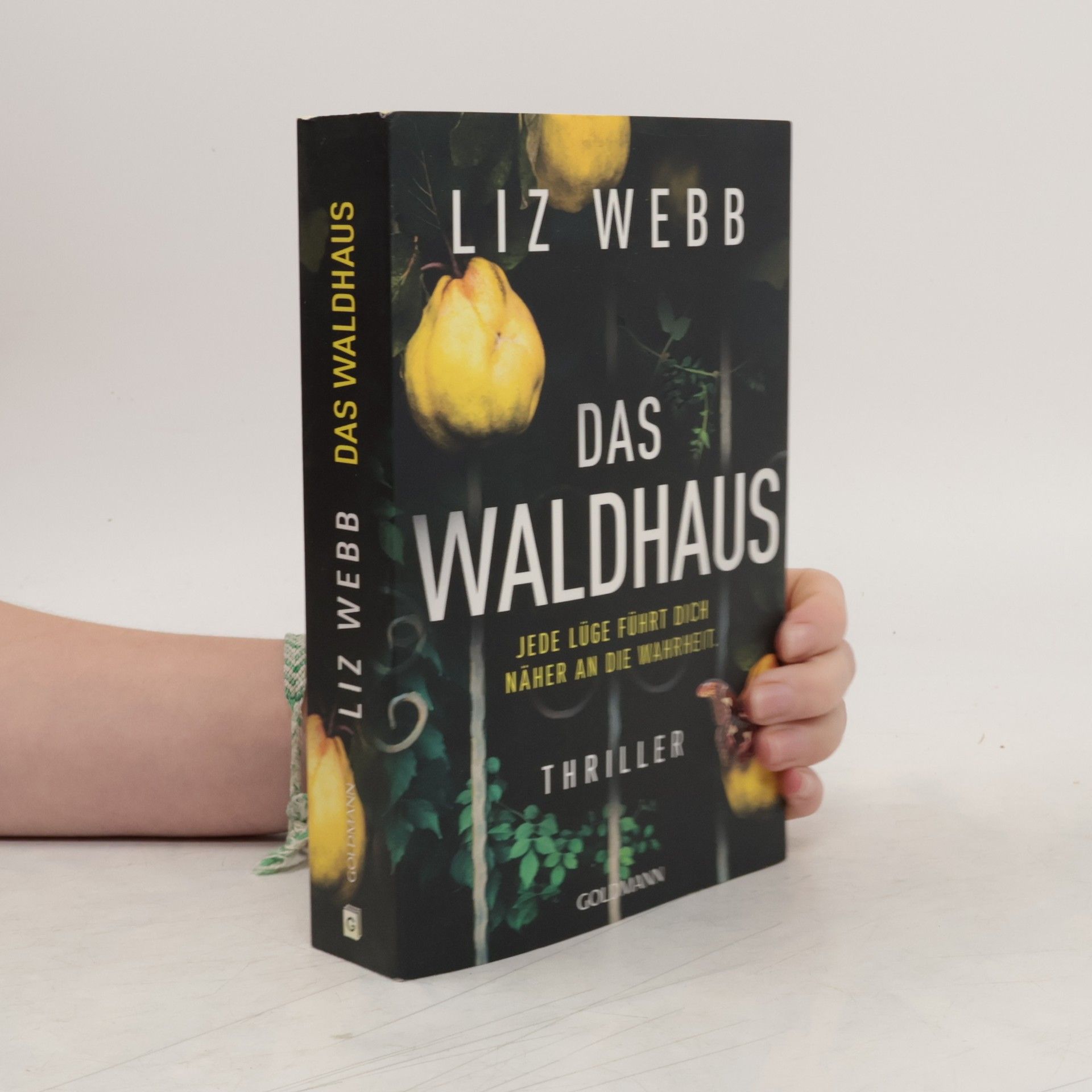 Liz Webb Das Waldhaus