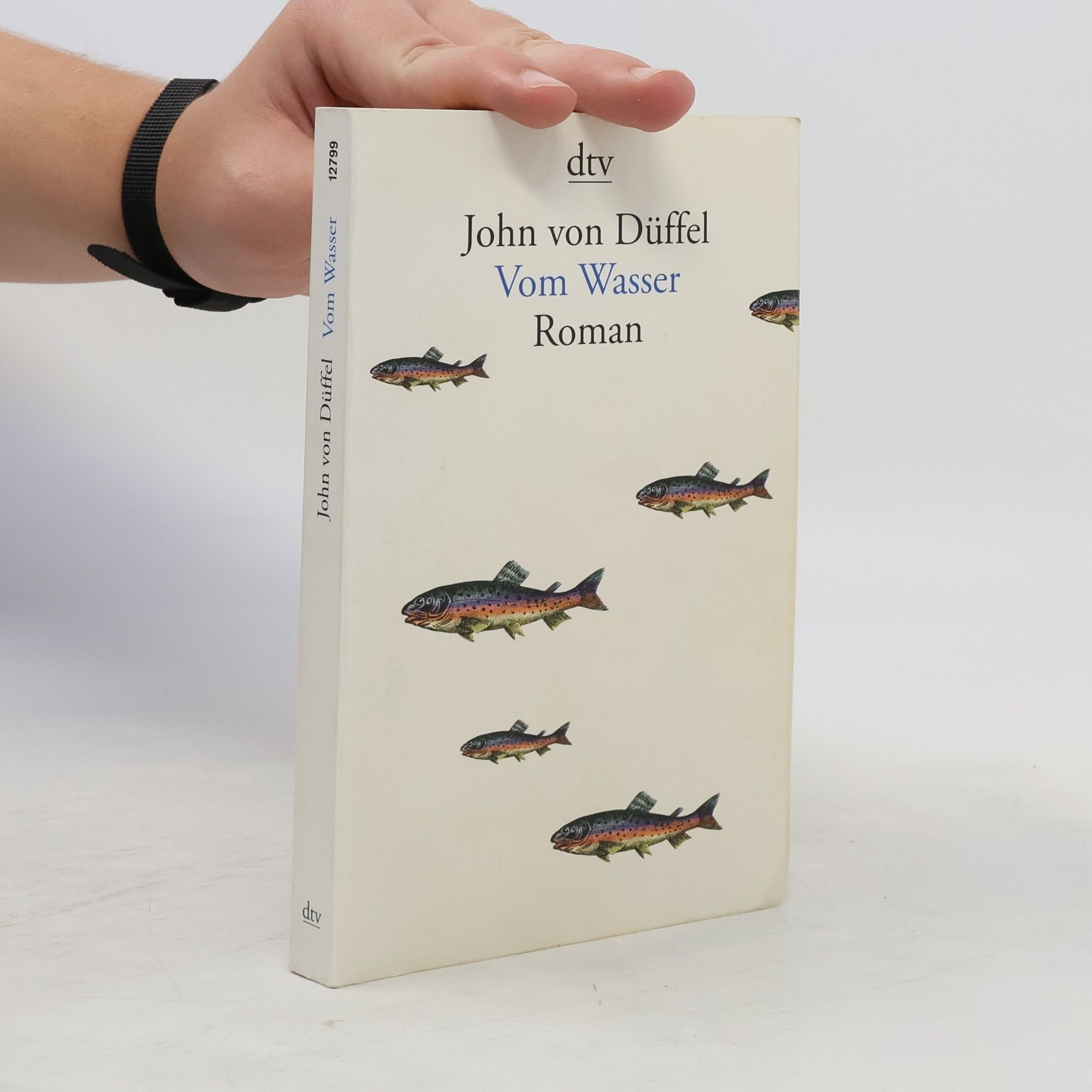 John von Düffel Vom Wasser