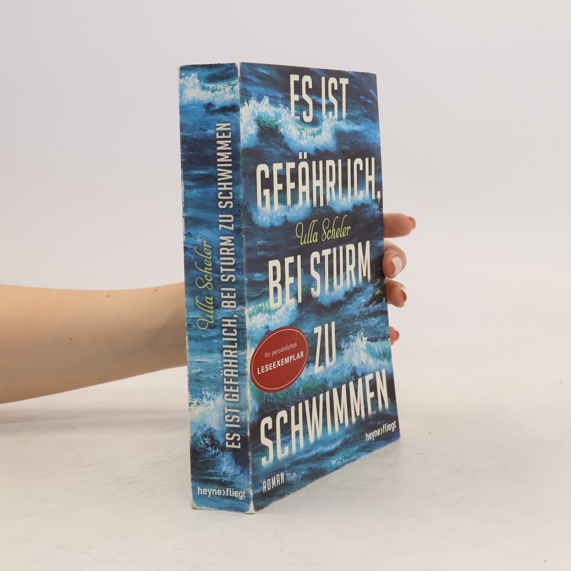 Ulla Scheler Es ist gefährlich, bei Sturm zu schwimmen