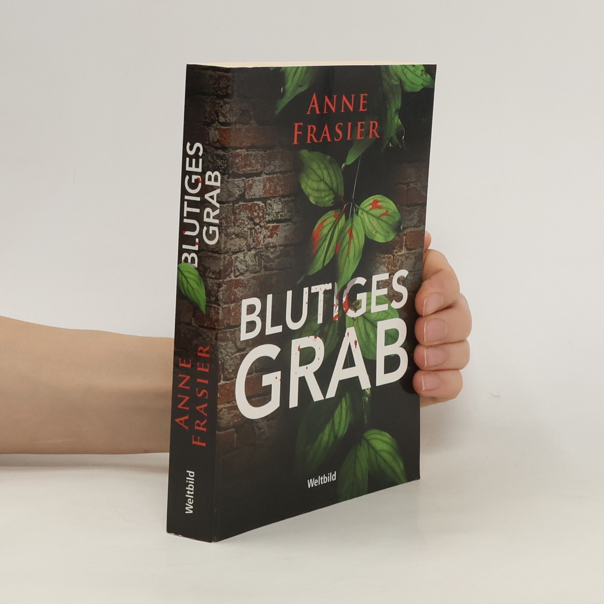 Anne Frasier Blutiges Grab