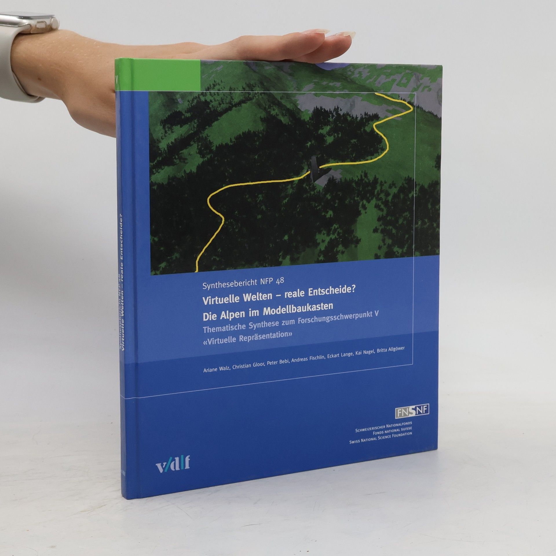 Ariane Walz Virtuelle Welten - reale Entscheide? Die Alpen im Modellbaukasten