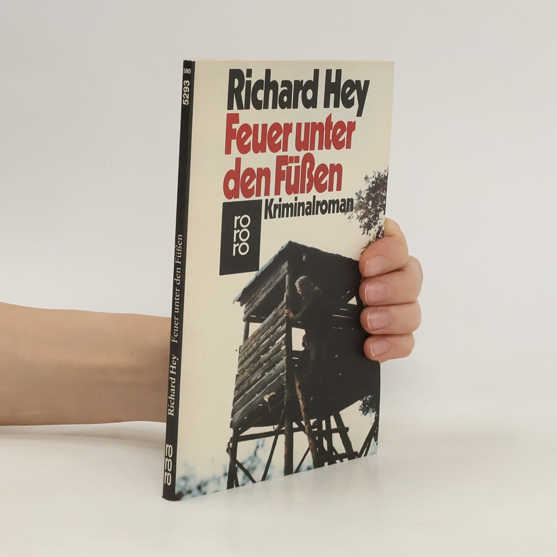 Richard Hey Feuer unter den Füssen