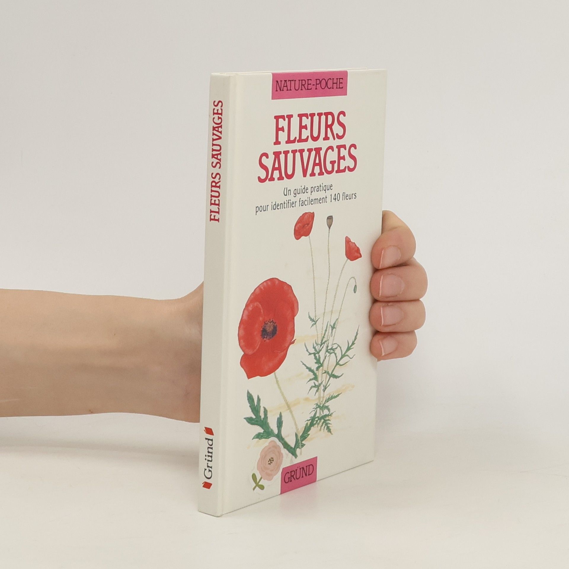 Pamela Forey Fleurs sauvages