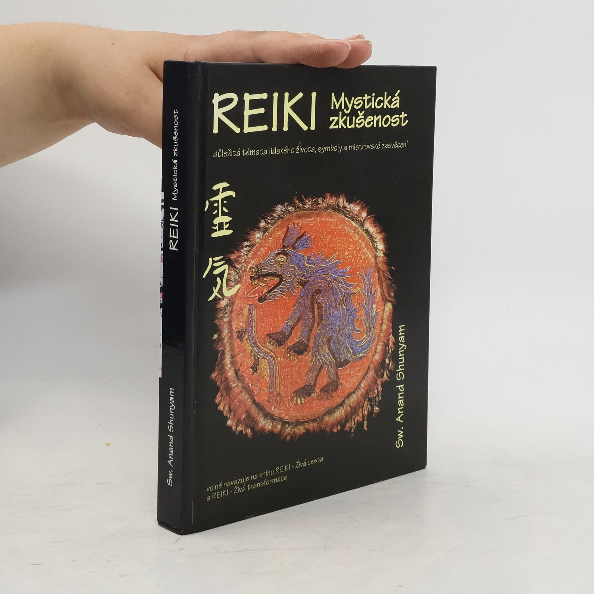 Anand Shunyam Reiki: mystická zkušenost