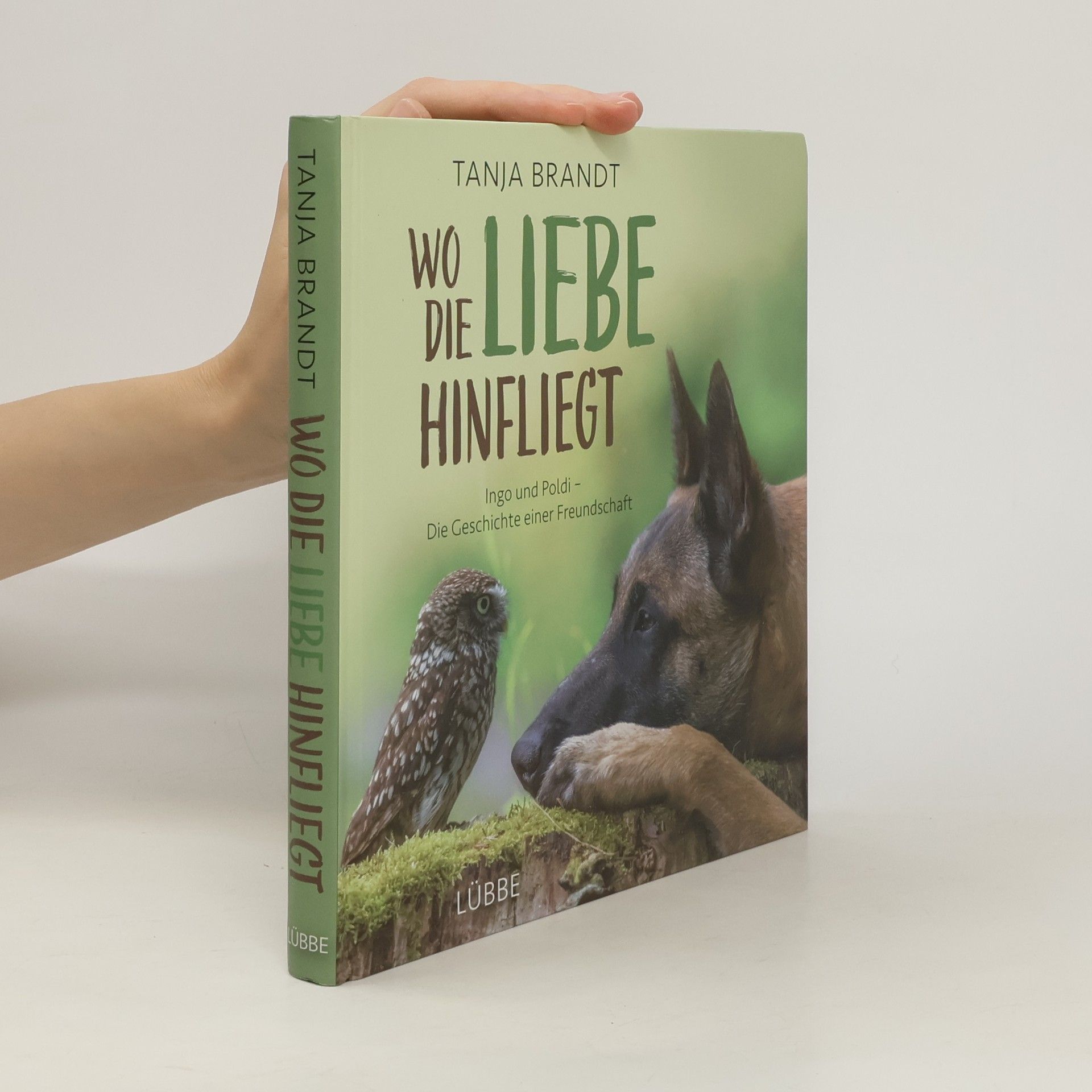 Tanja Brandt Wo die Liebe hinfliegt