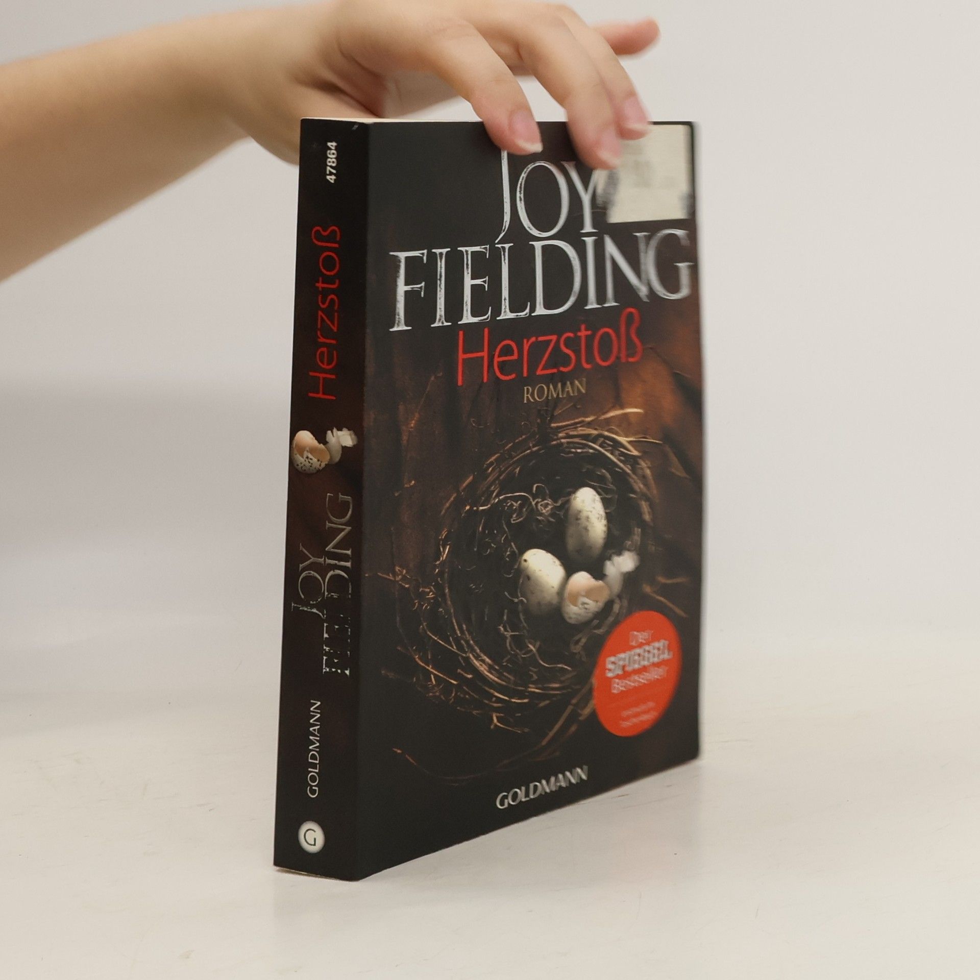 Joy Fielding Herzstoß (Až ji uvidíš)