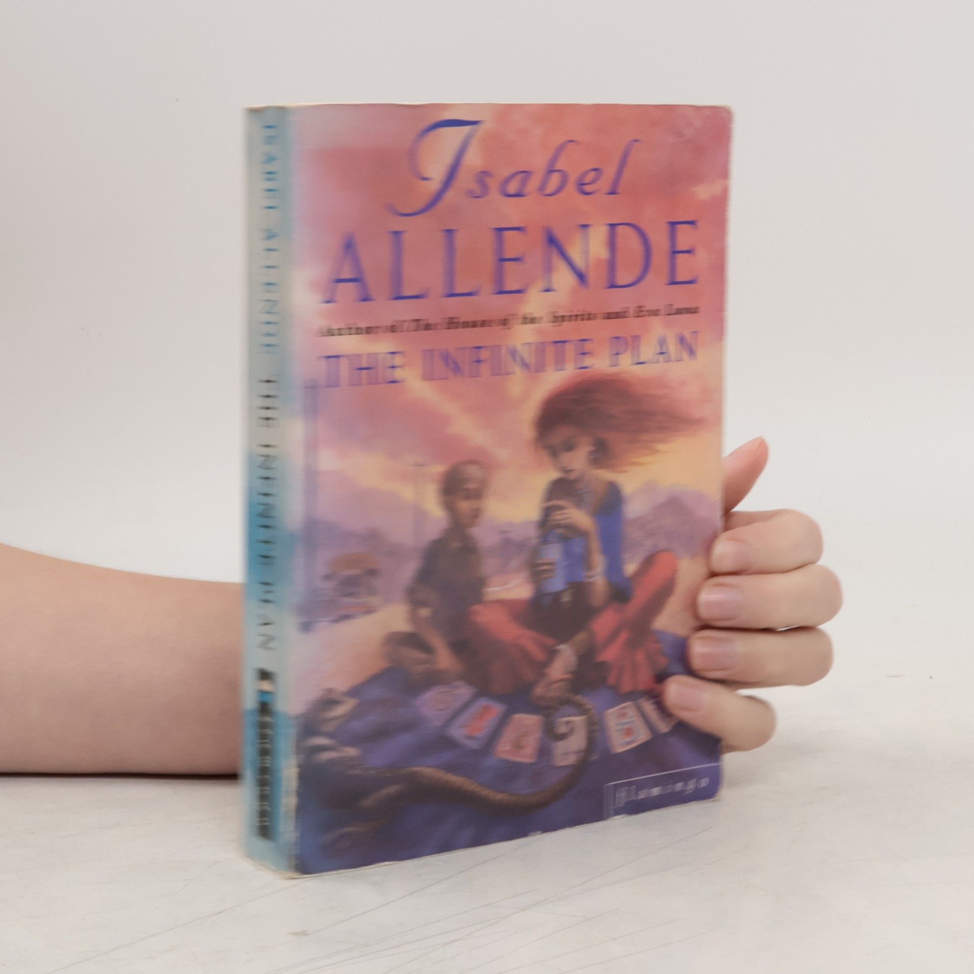 Isabel Allende The infinite plan