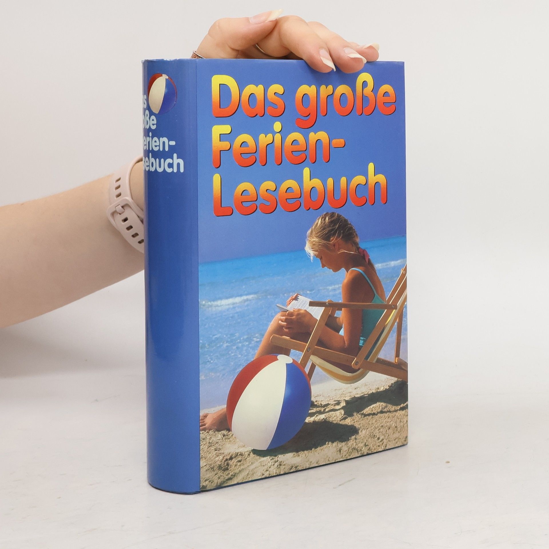 Autores varios Das große Ferienlesebuch