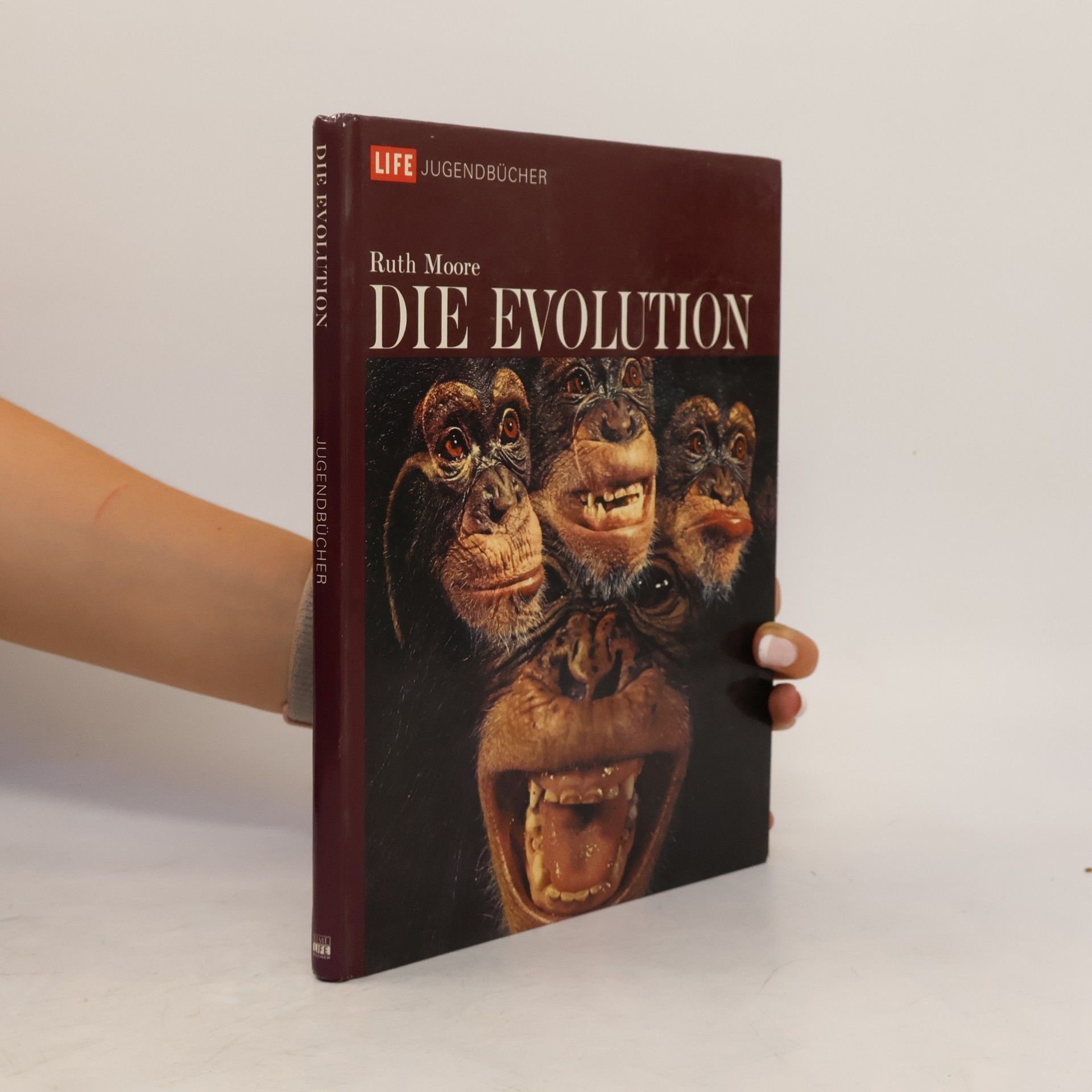 Ruth Moore Die Evolution
