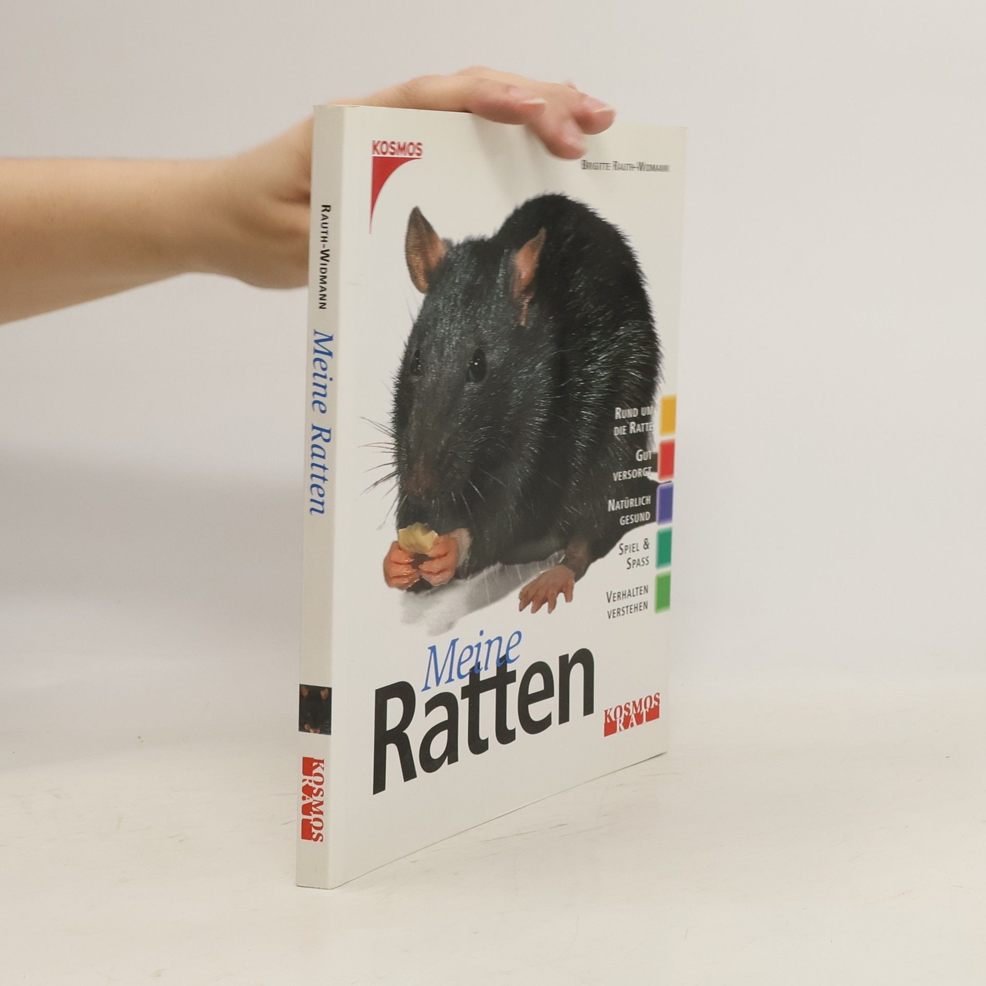 Brigitte Rauth Widmann Meine Ratten