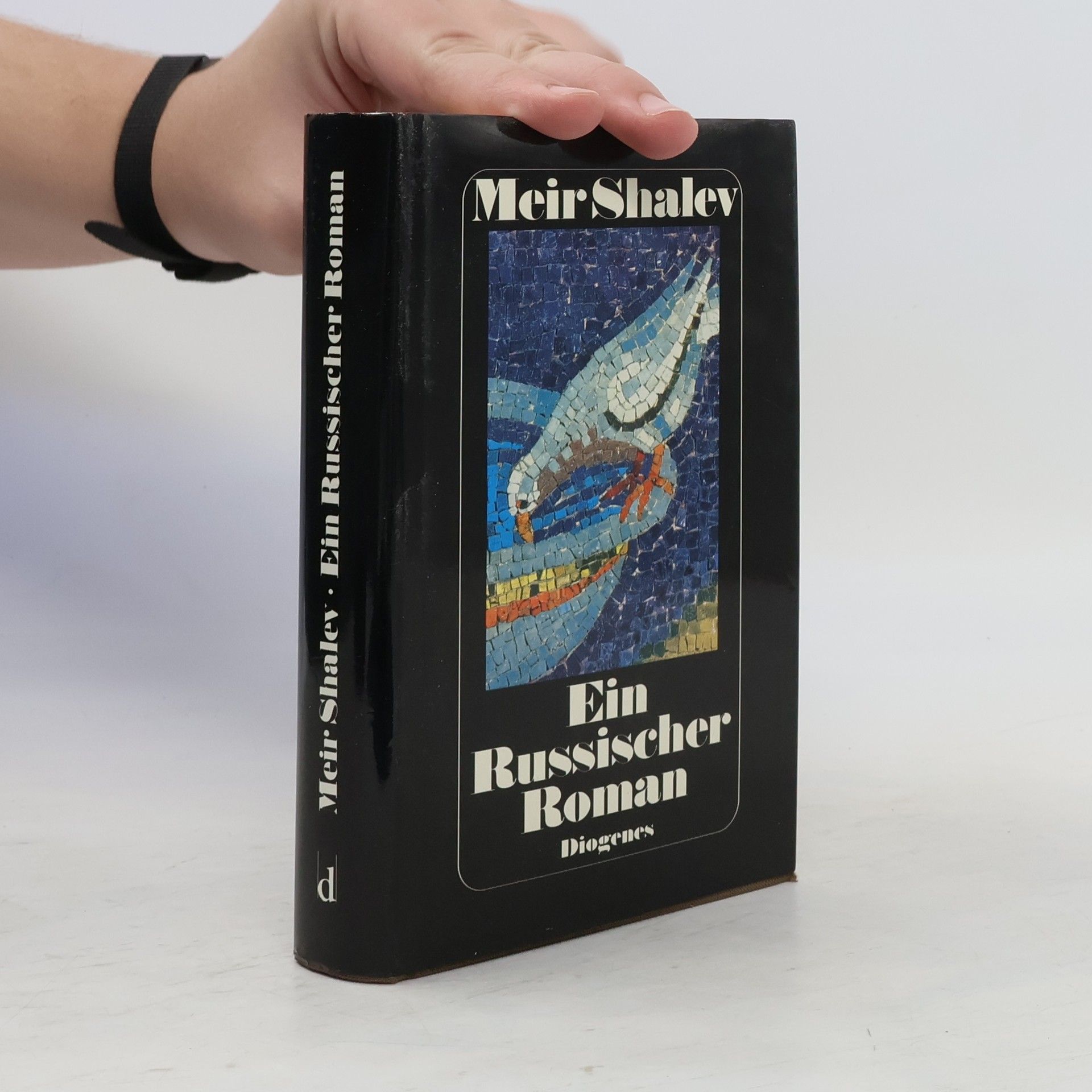 Meir Shalev Ein russischer