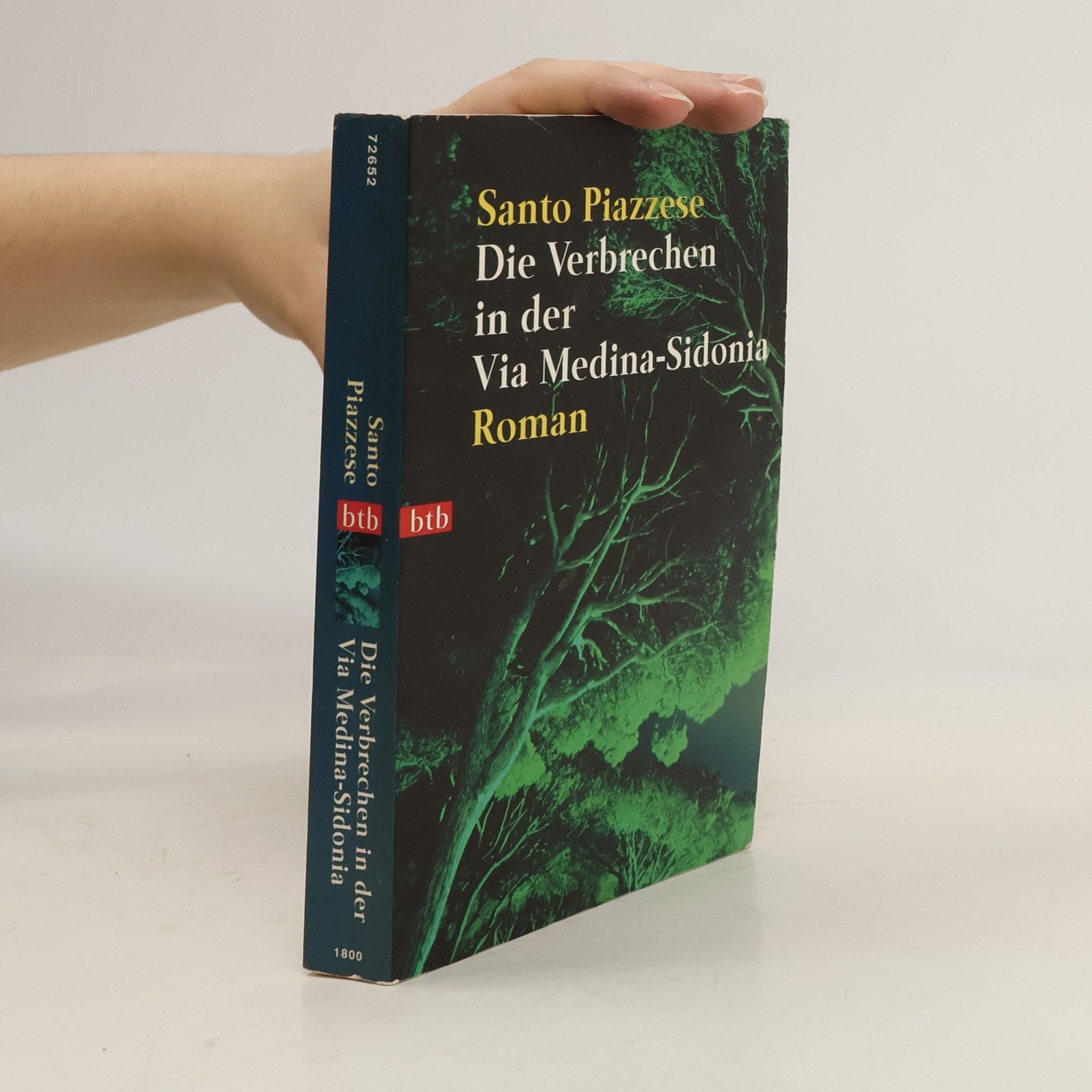 Santo Piazzese Die Verbrechen in der Via Medina-Sidonia