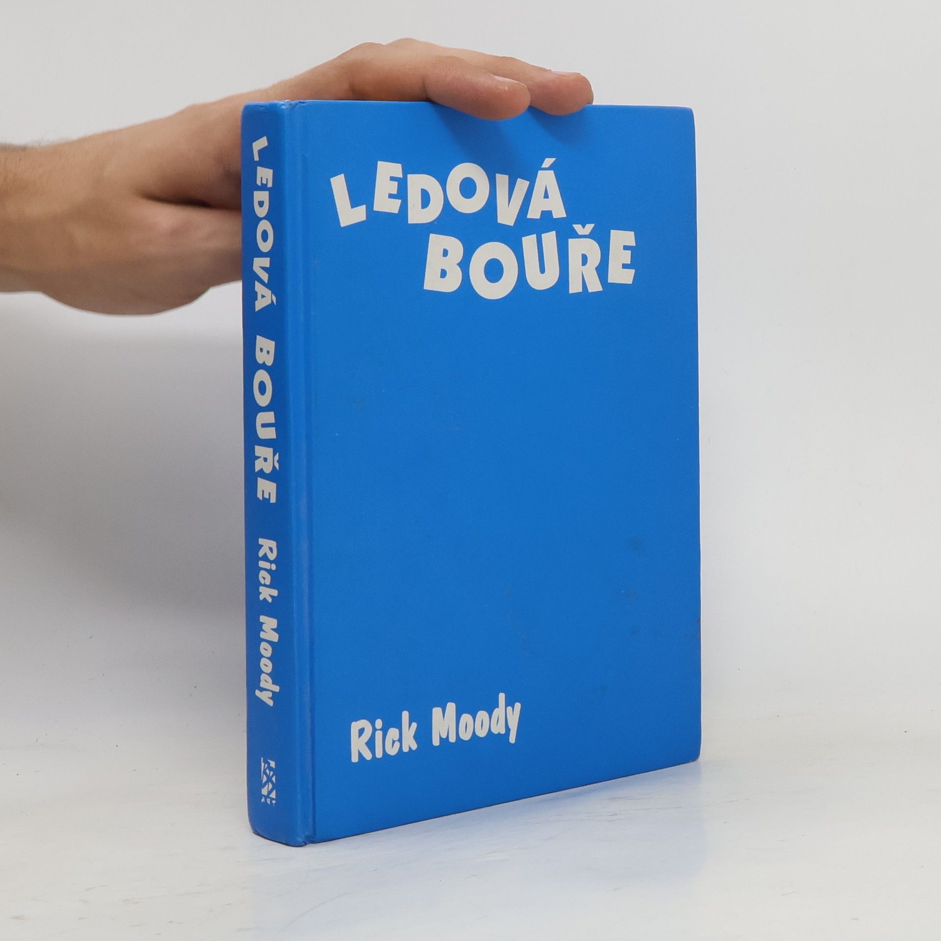 Rick Moody Ledová bouře
