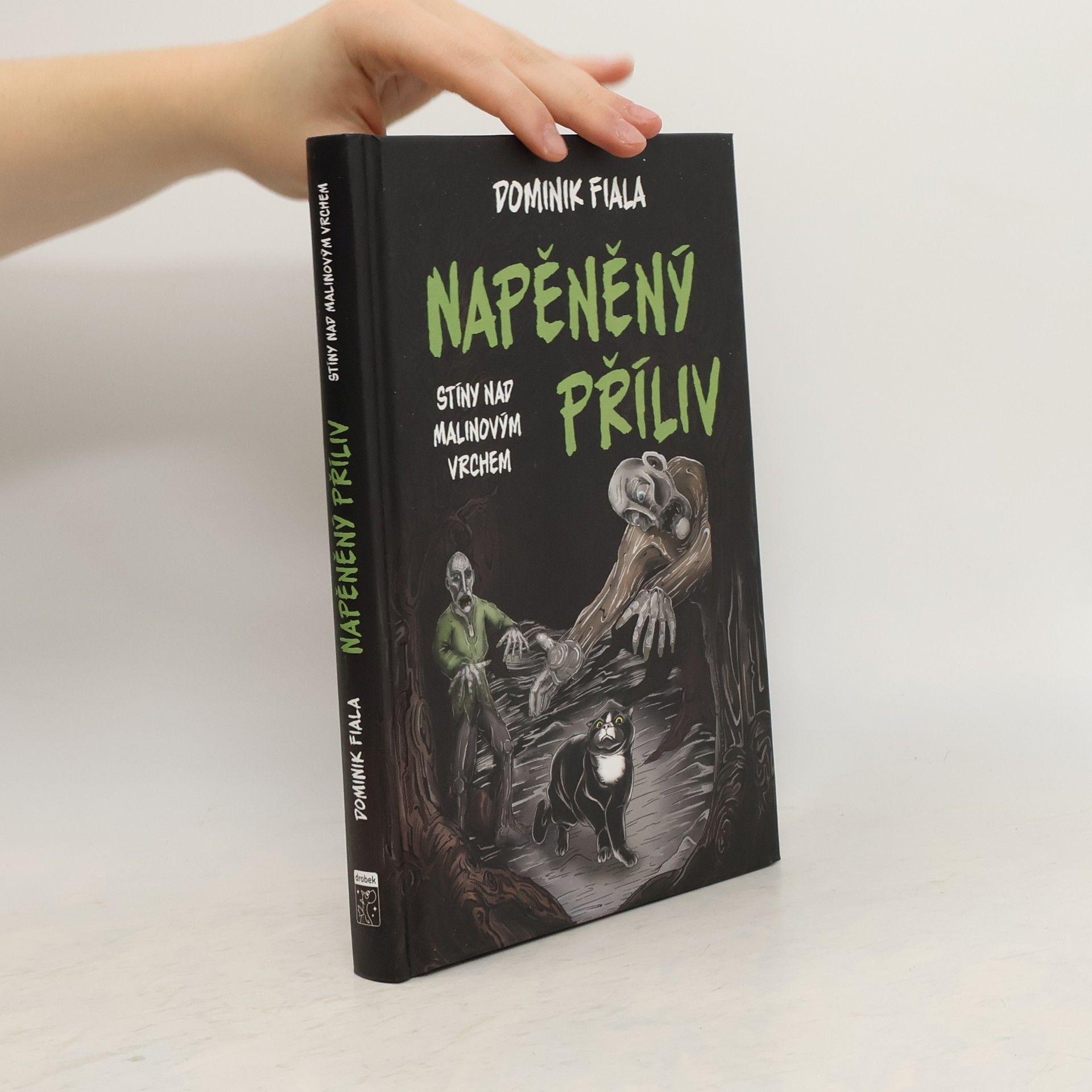 Dominik Fiala Napěněný příliv