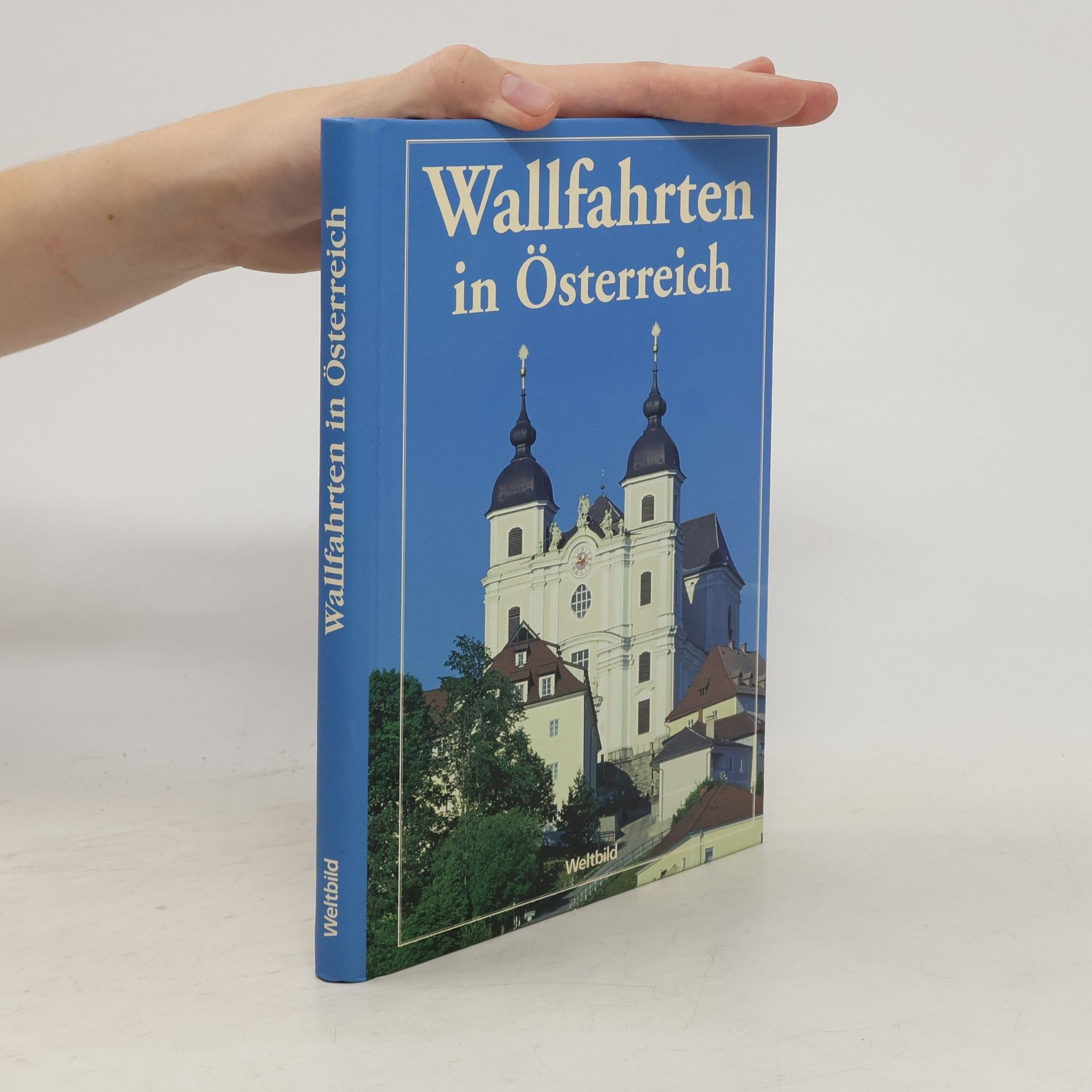 Kolektiv autorů Wallfahrten in Österreich