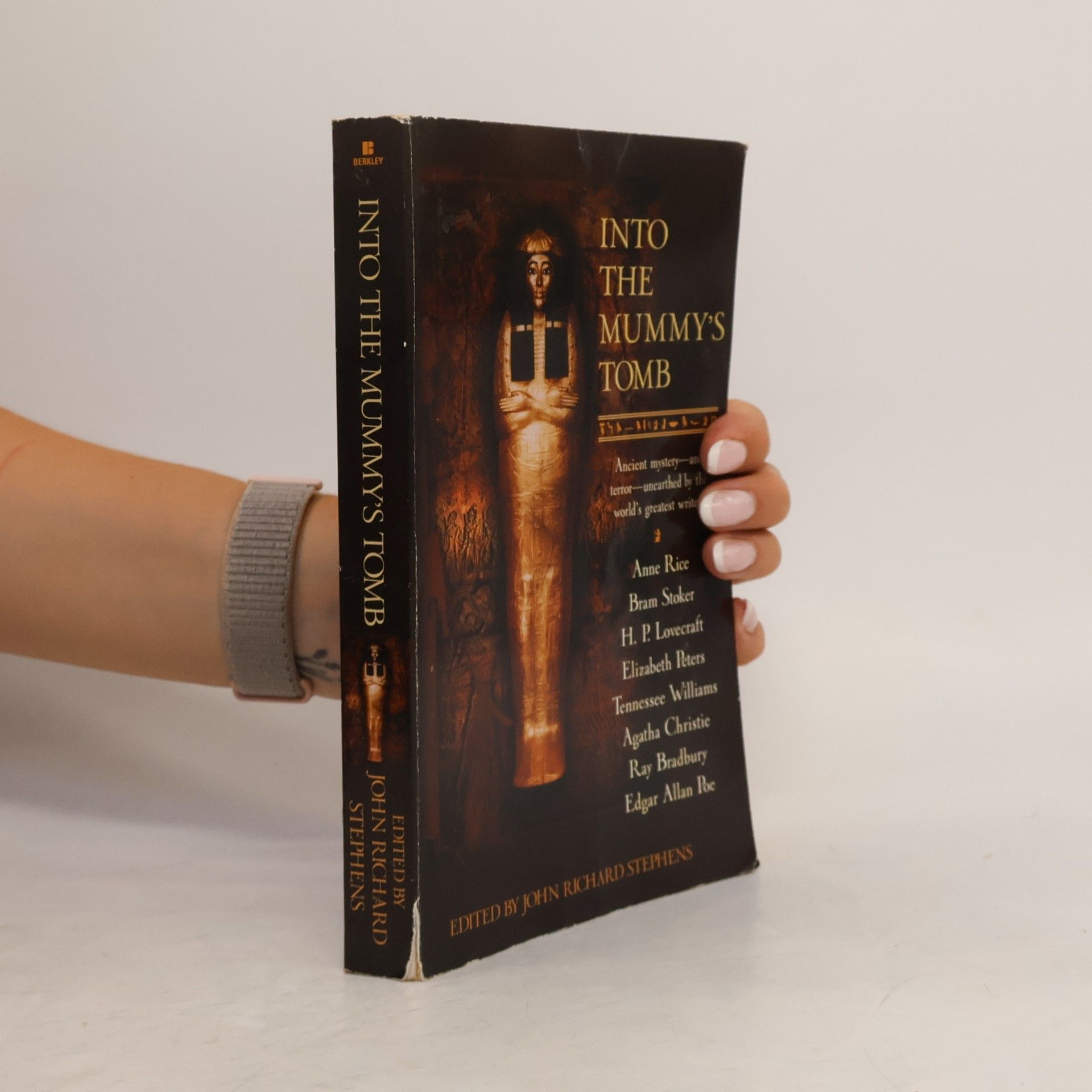 John Richard Stephens Into the Mummy's Tomb