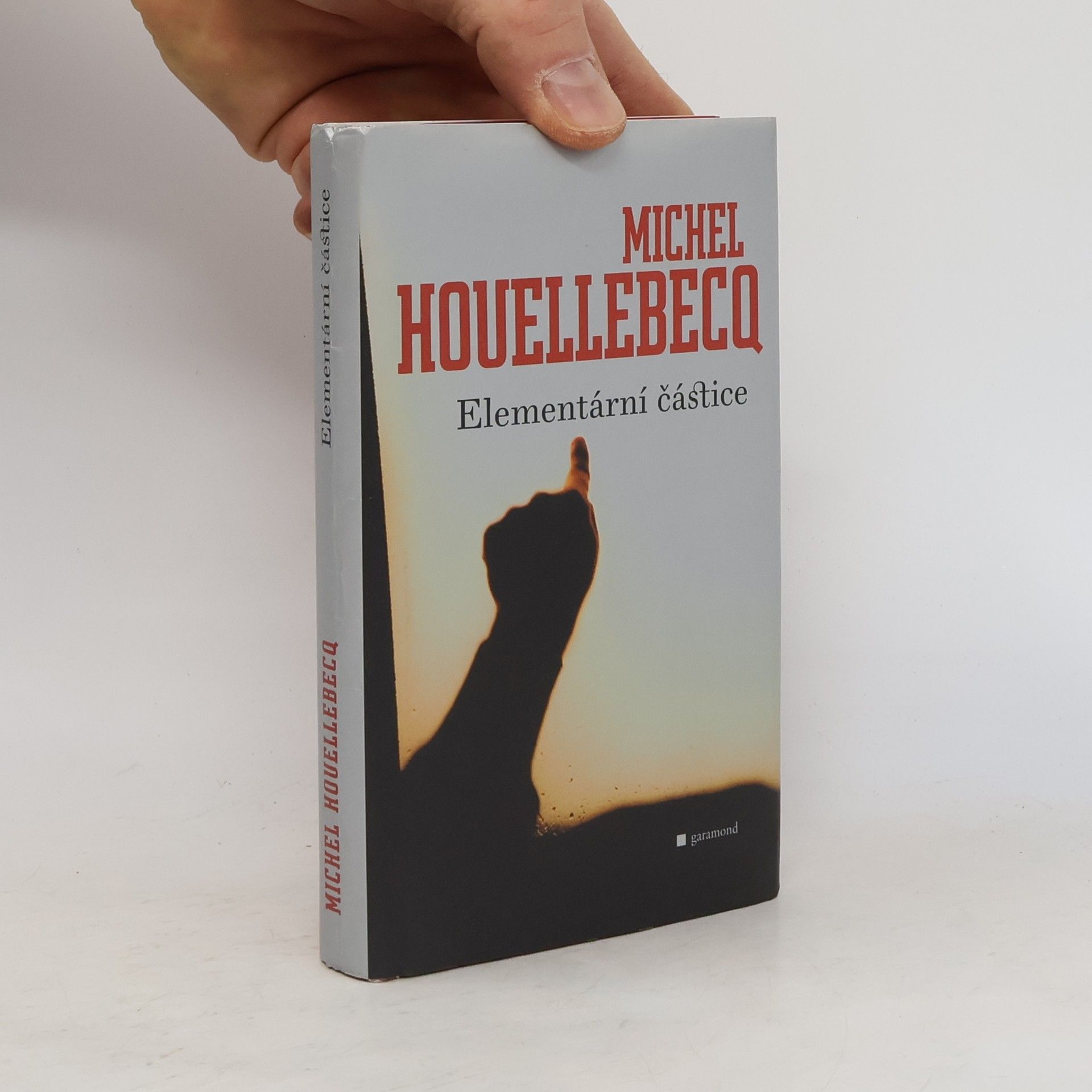 Michel Houellebecq Elementární částice
