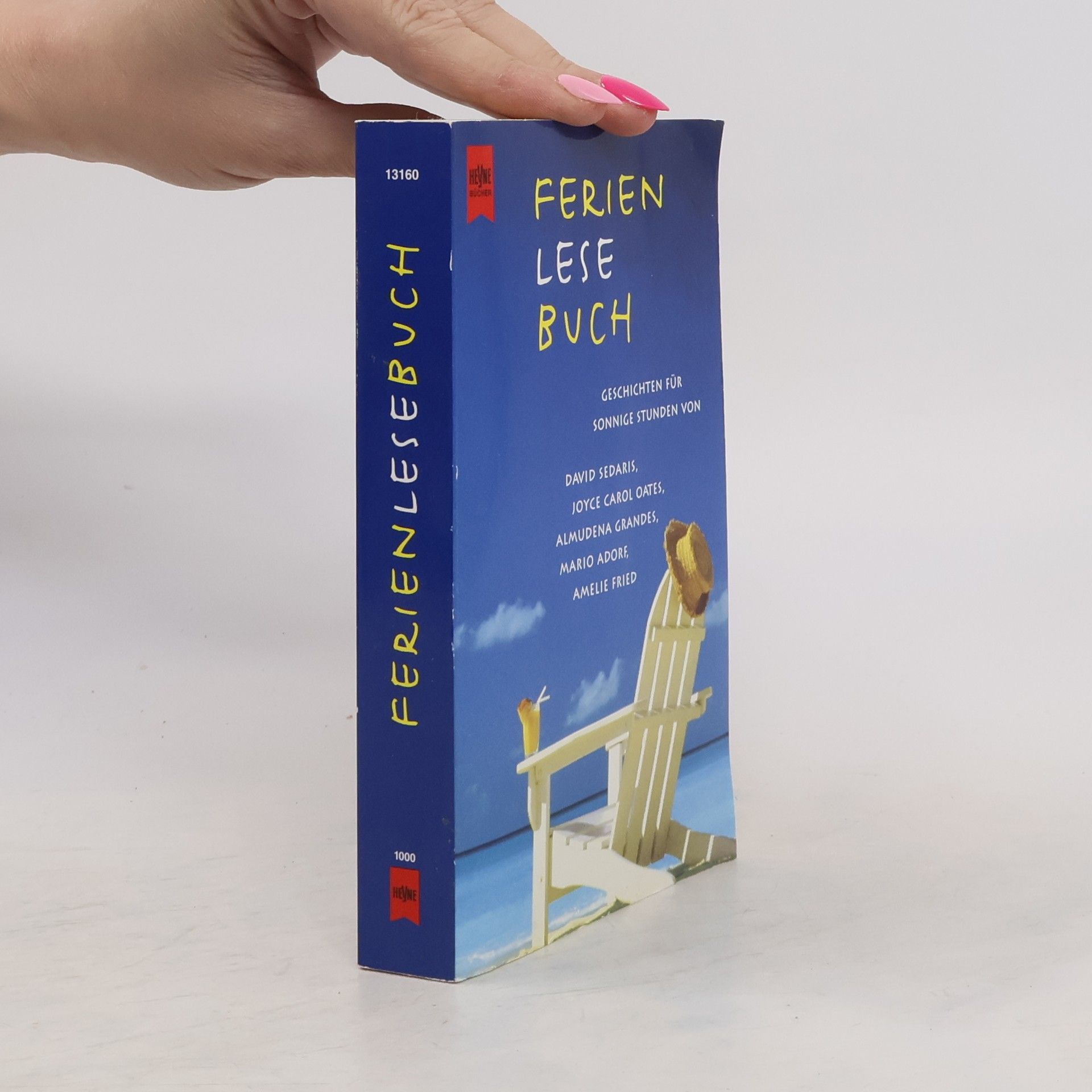 Autores varios Ferienlesebuch