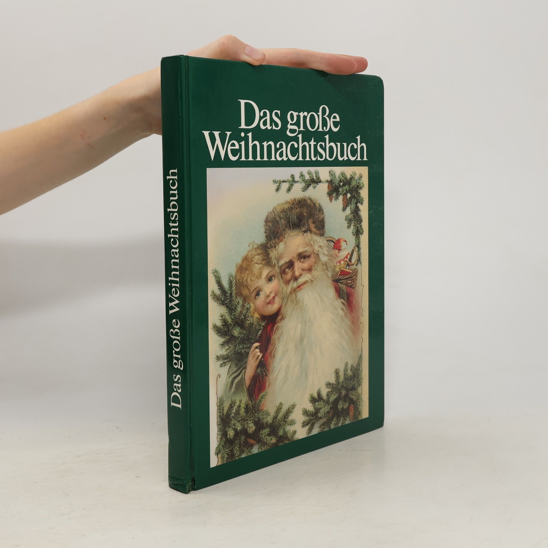 Autorenkollektiv Das große Weihnachtsbuch