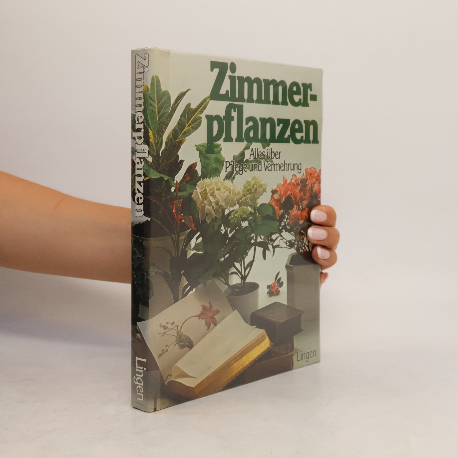 Collectif d'auteurs Zimmerpflanzen