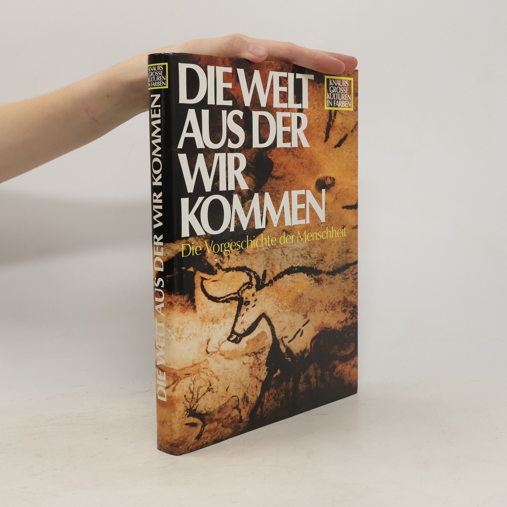 AA.VV. Die Welt aus der wir kommen