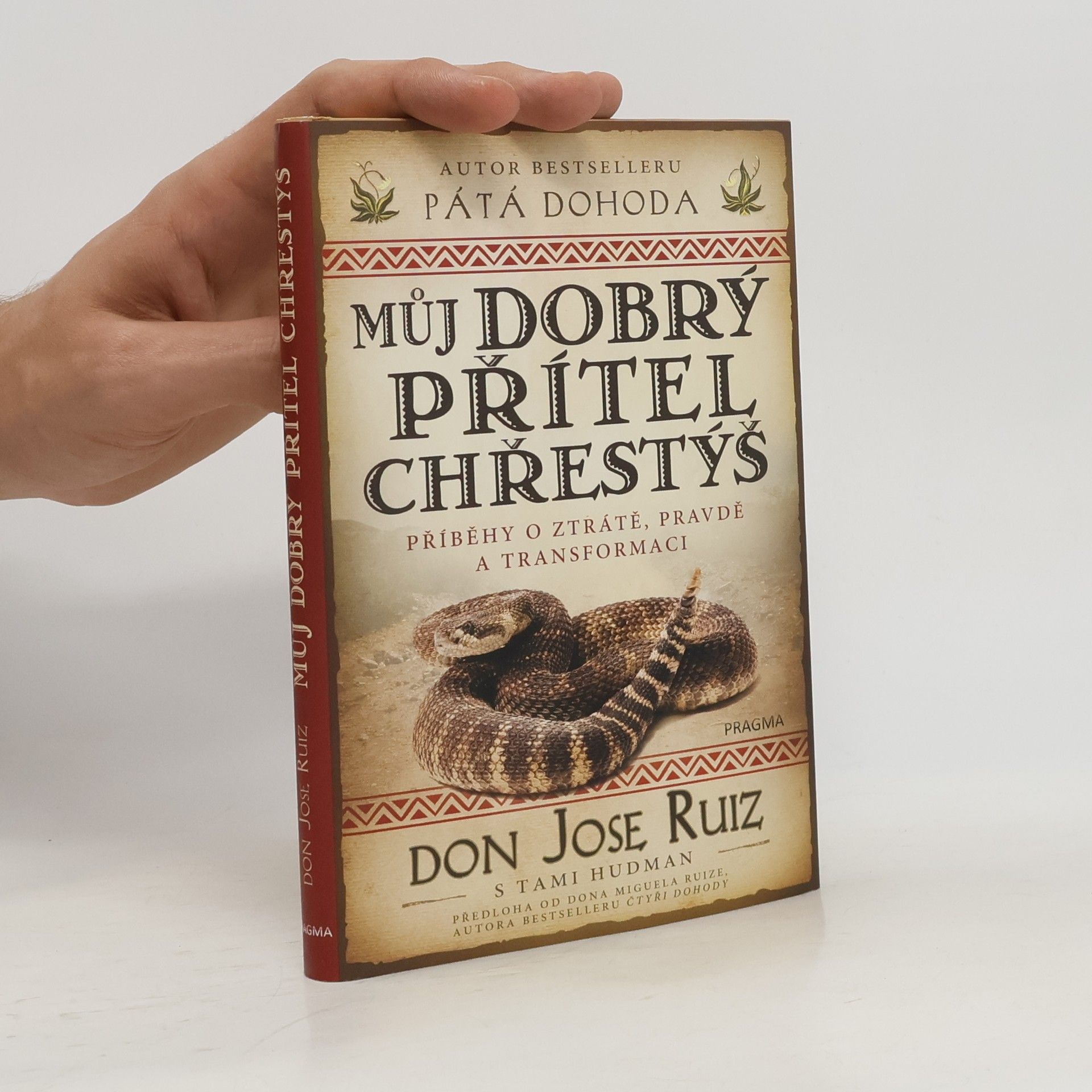 Don Jose Ruiz Můj dobrý přítel chřestýš : příběhy o ztrátě, pravdě a transformaci