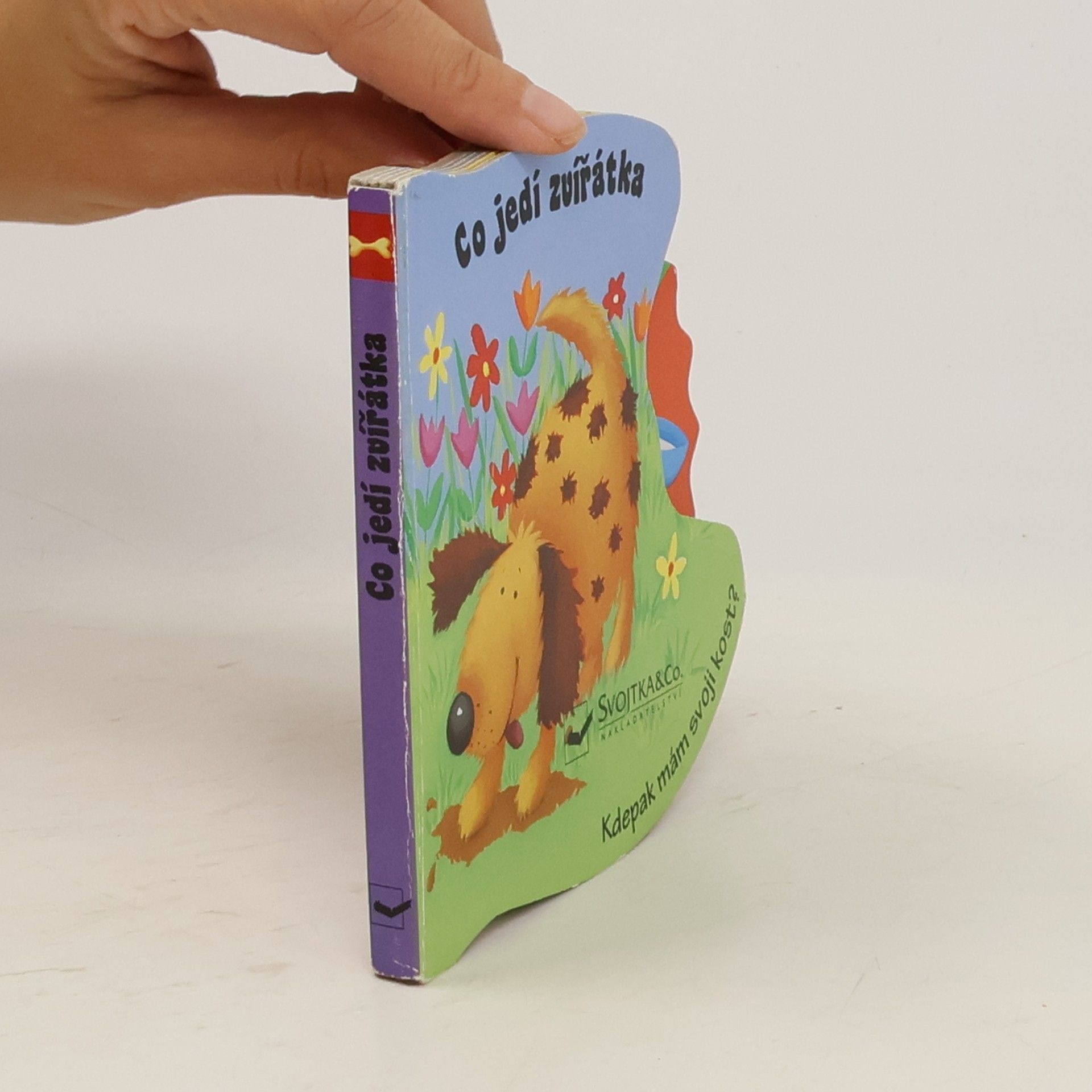 Autorenkollektiv Co jedí zvířátka - Kdepak mám svoji kost?