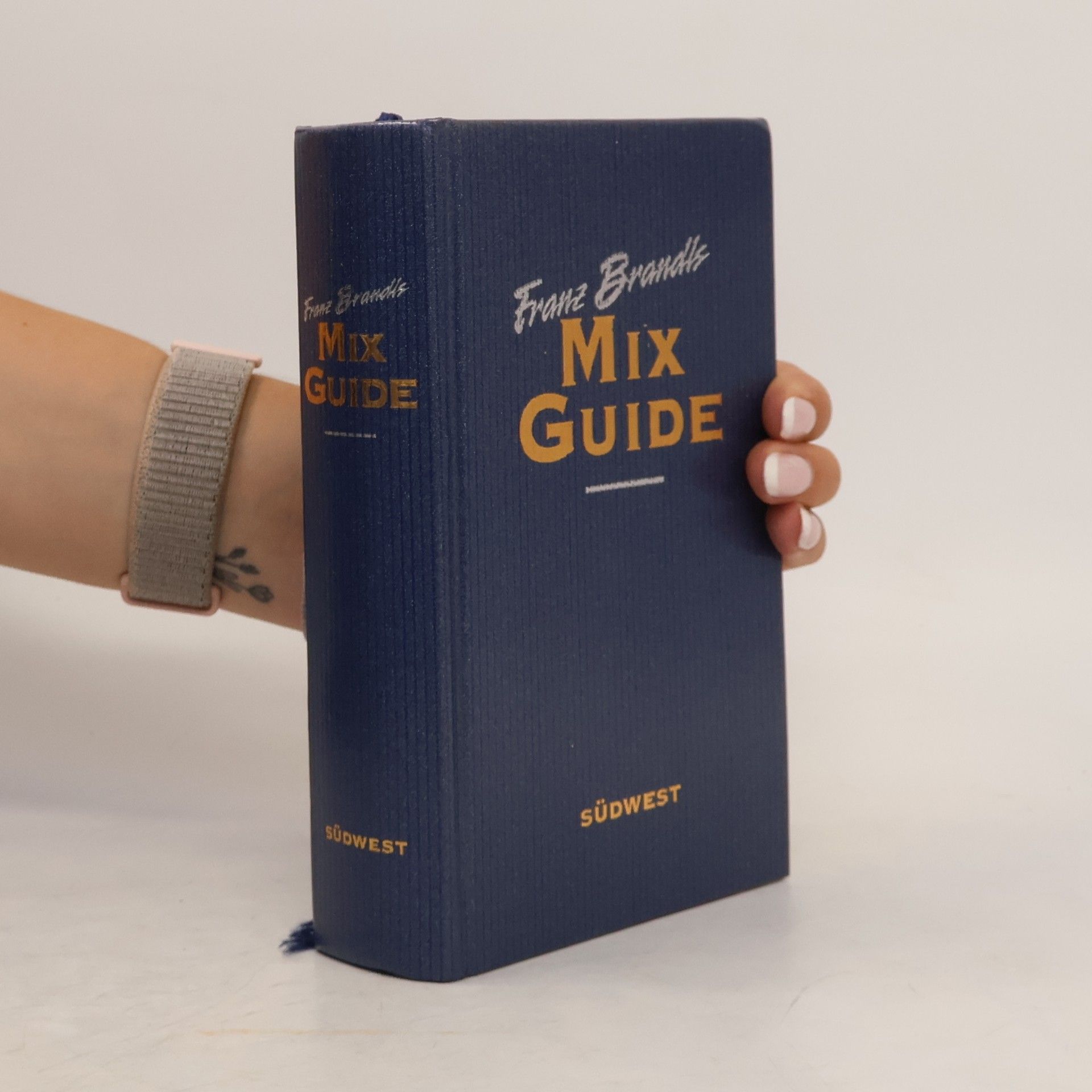 Franz Brandl Franz Brandls Mix-Guide