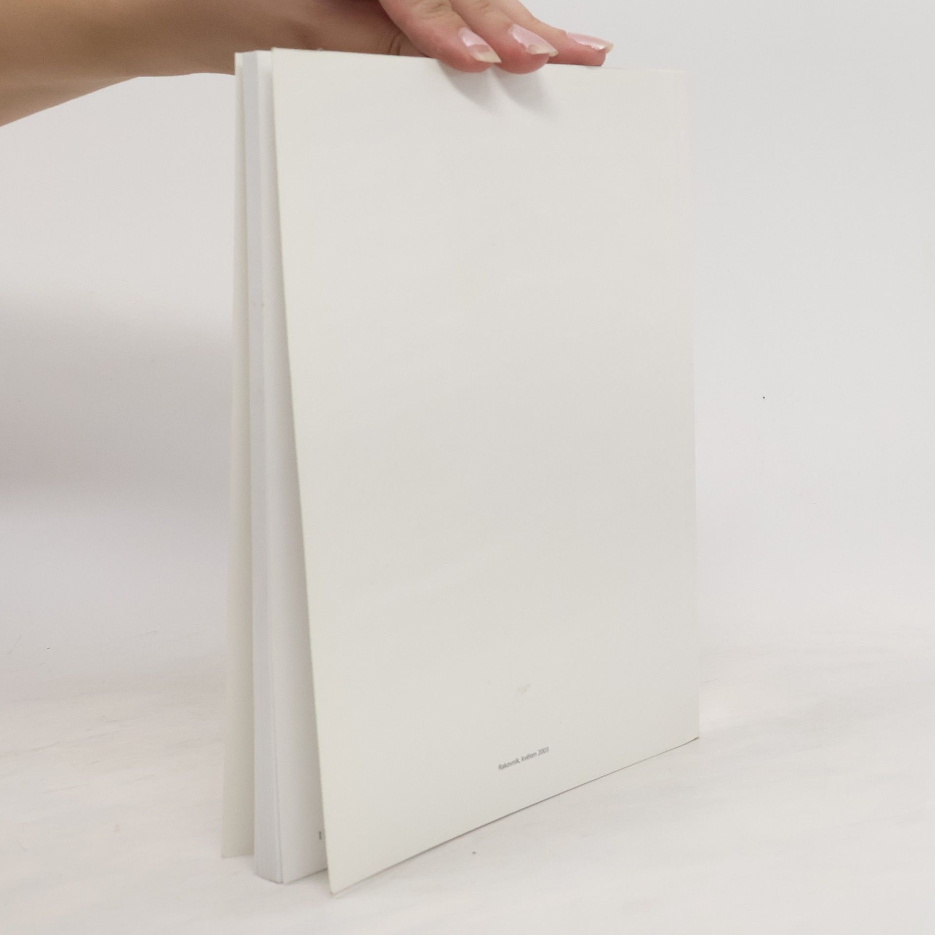 Kolektiv autorů Příspěvek k dějinám Rako závodů v Rakovníku