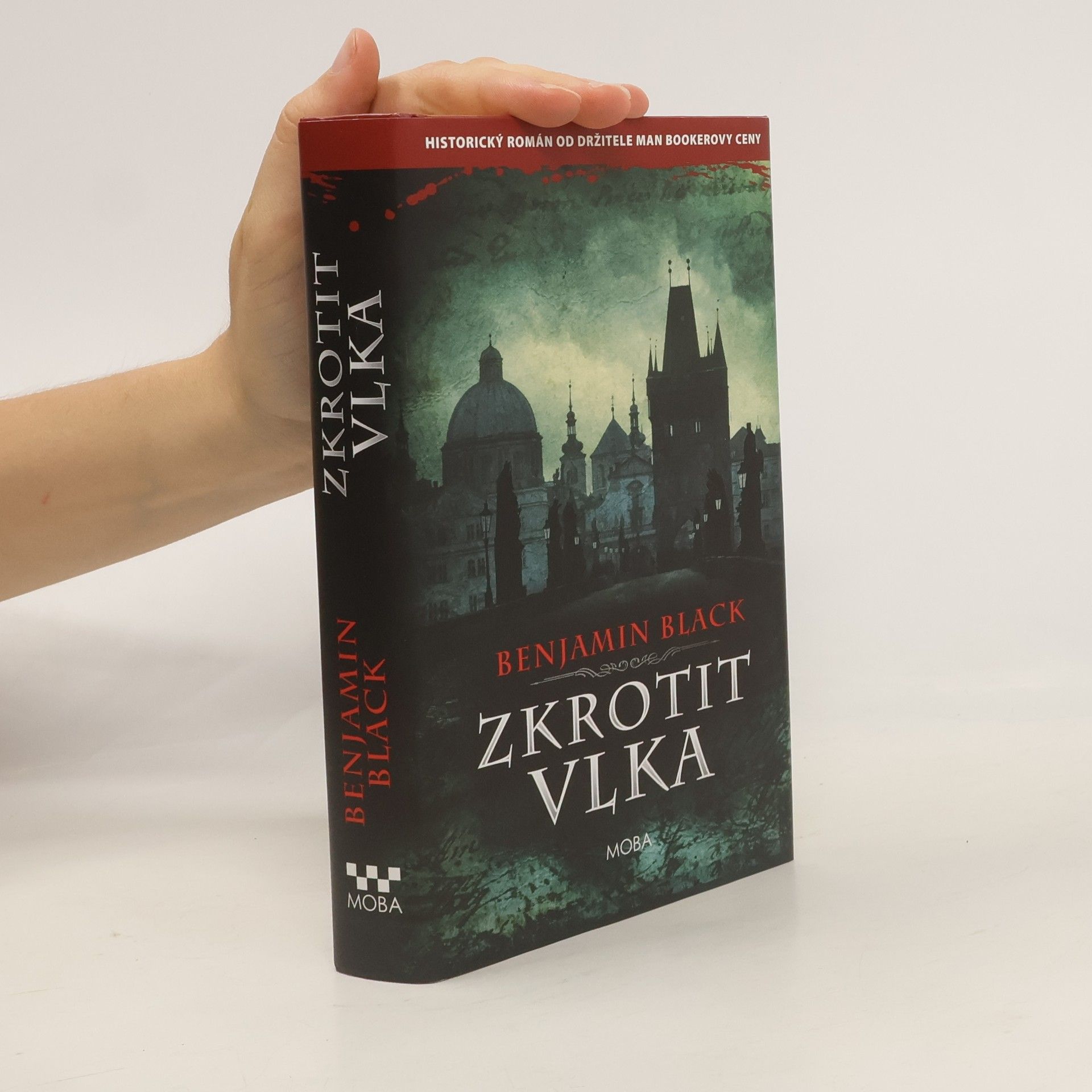 John Banville Zkrotit vlka