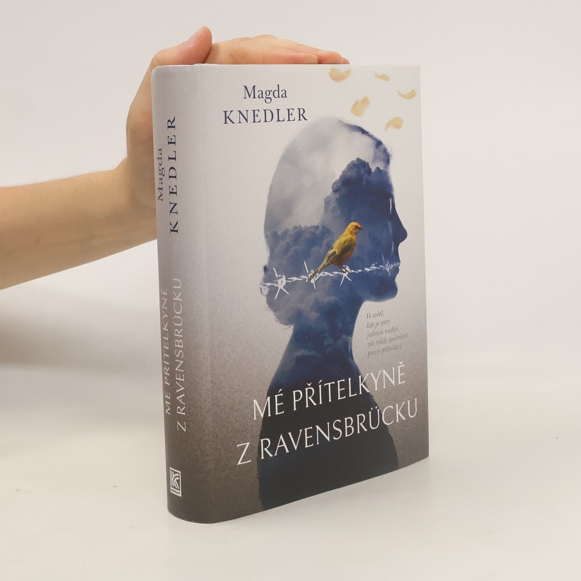 Magdalena Knedler Mé přítelkyně z Ravensbrücku