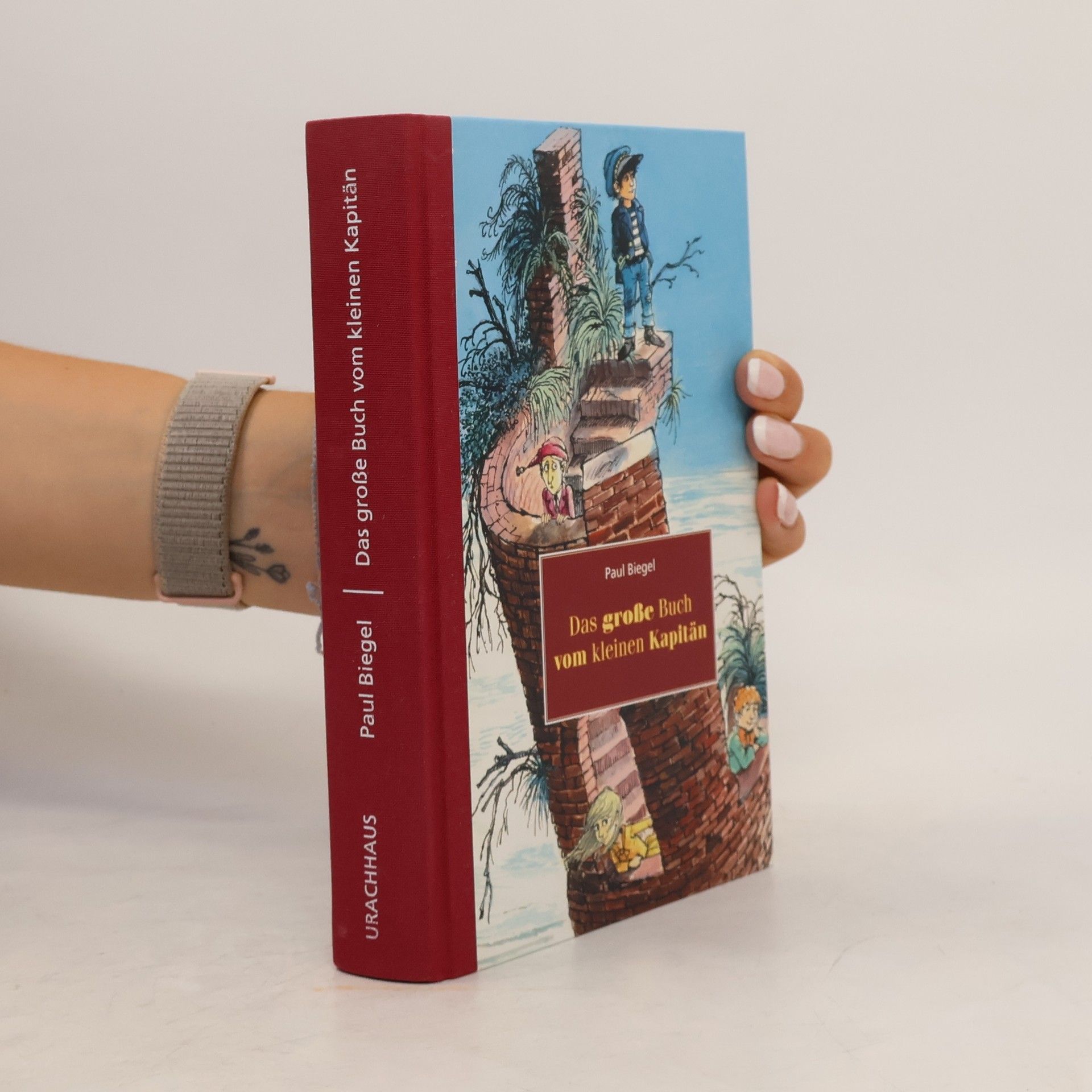 Paul Biegel Das grosse Buch vom kleinen Kapitän