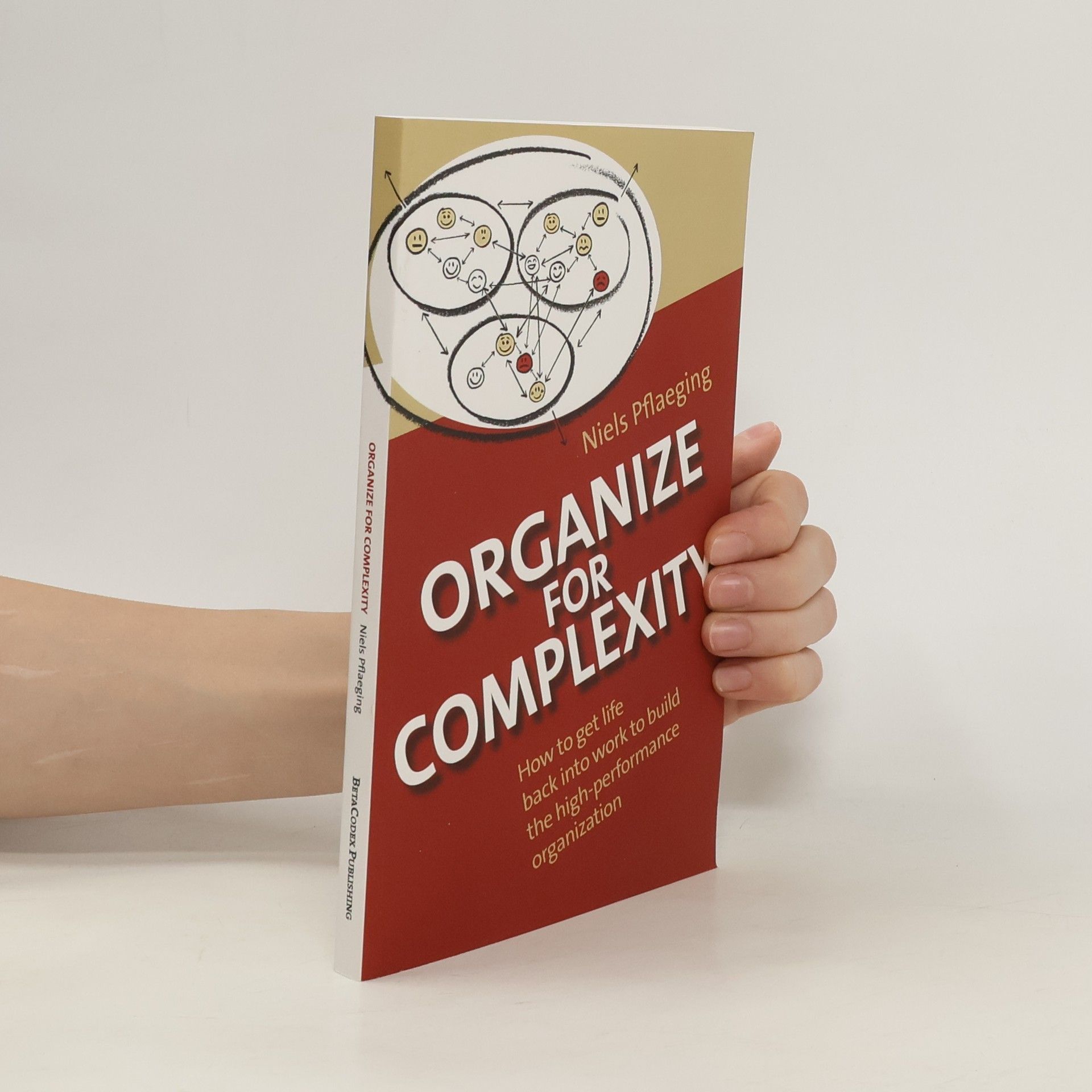 Niels Pflaeging Organize for Complexity