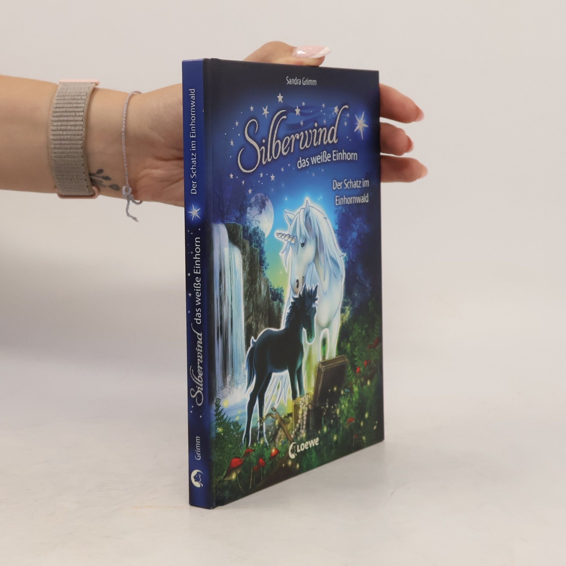 Sandra Grimm Der Schatz im Einhornwald