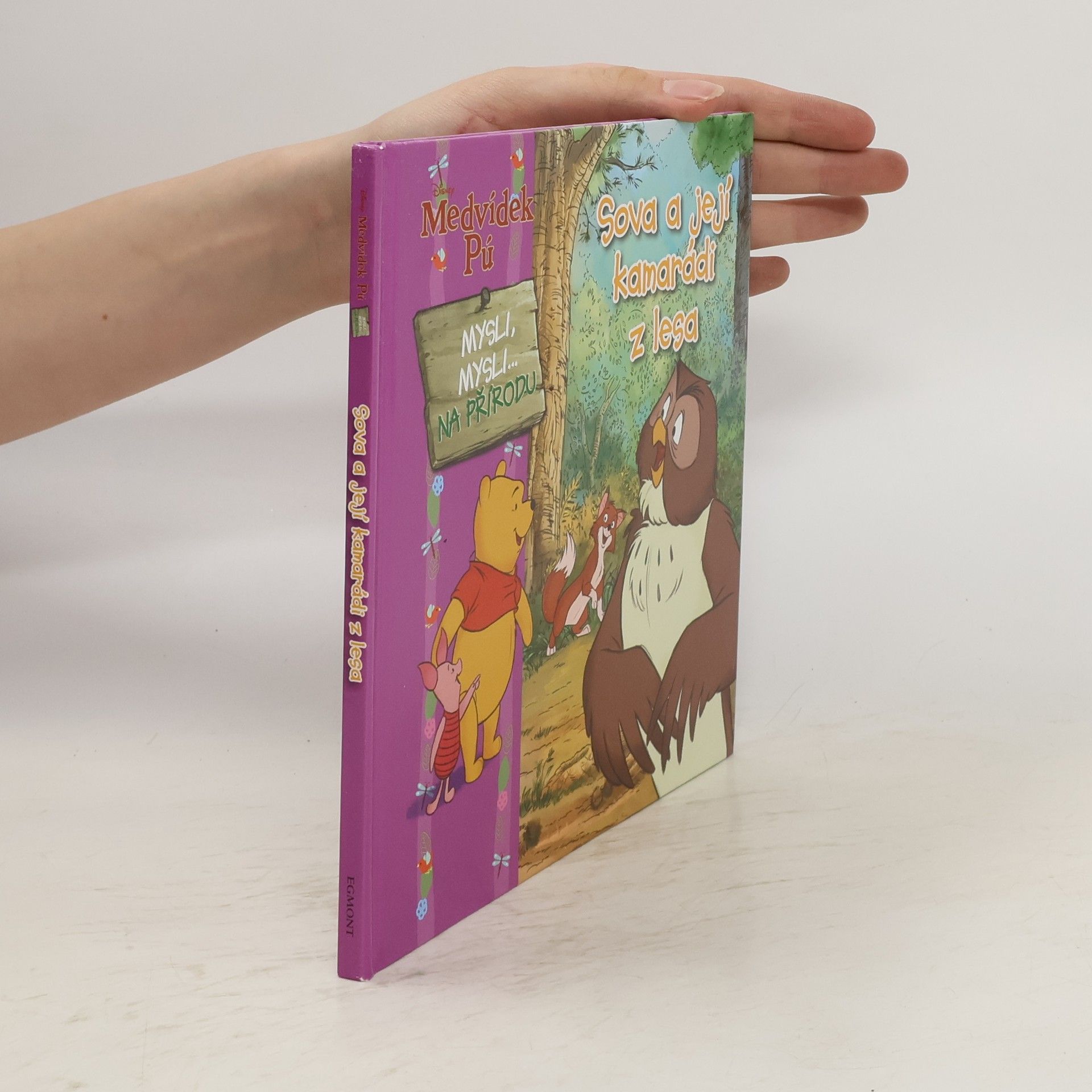 Collectif d'auteurs Sova a její kamarádi z lesa