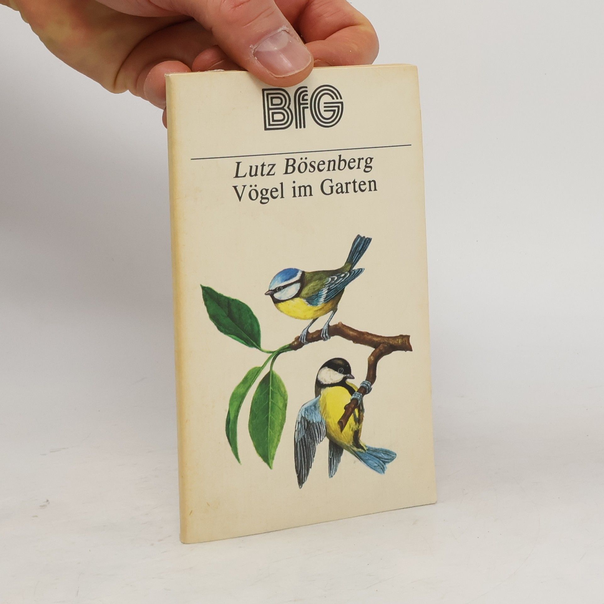 Lutz Bösenberg Vögel im Garten